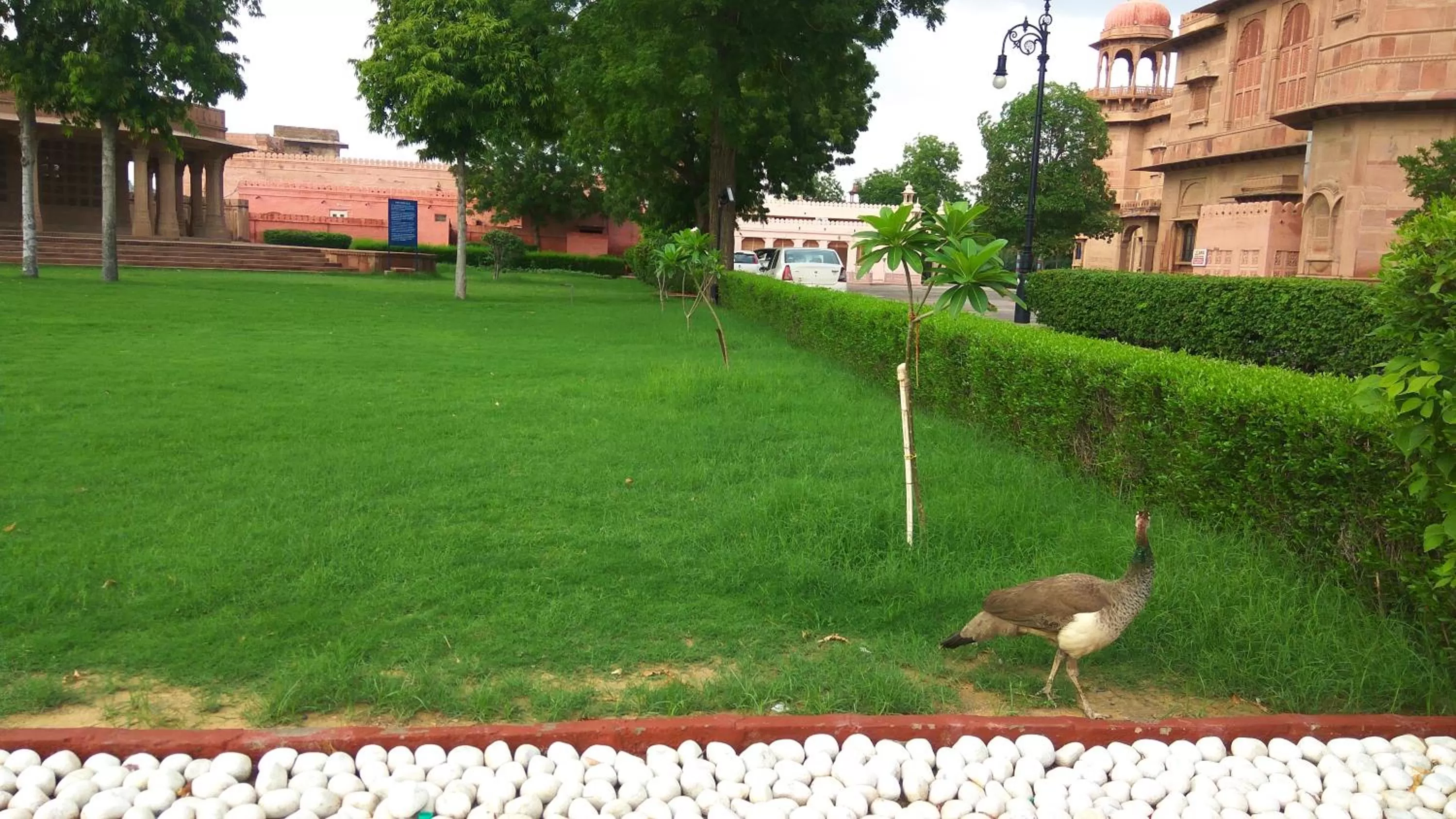 Garden in The Lallgarh Palace - A Heritage Hotel