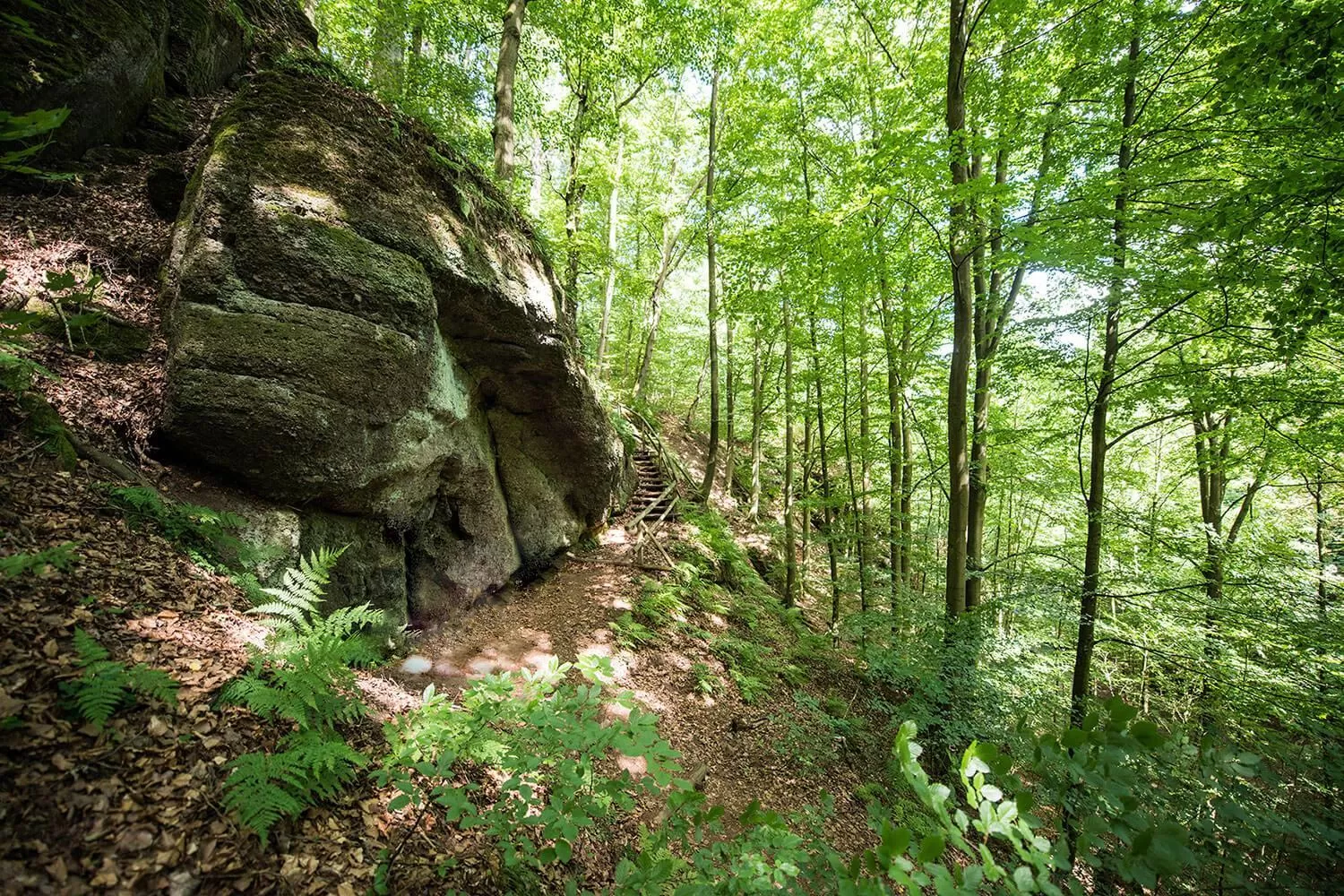 Spring, Natural Landscape in Suites MITTE - Aparthotel