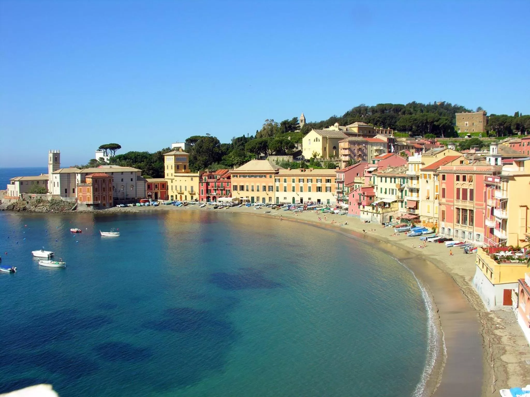 Natural landscape in Hotel Suisse