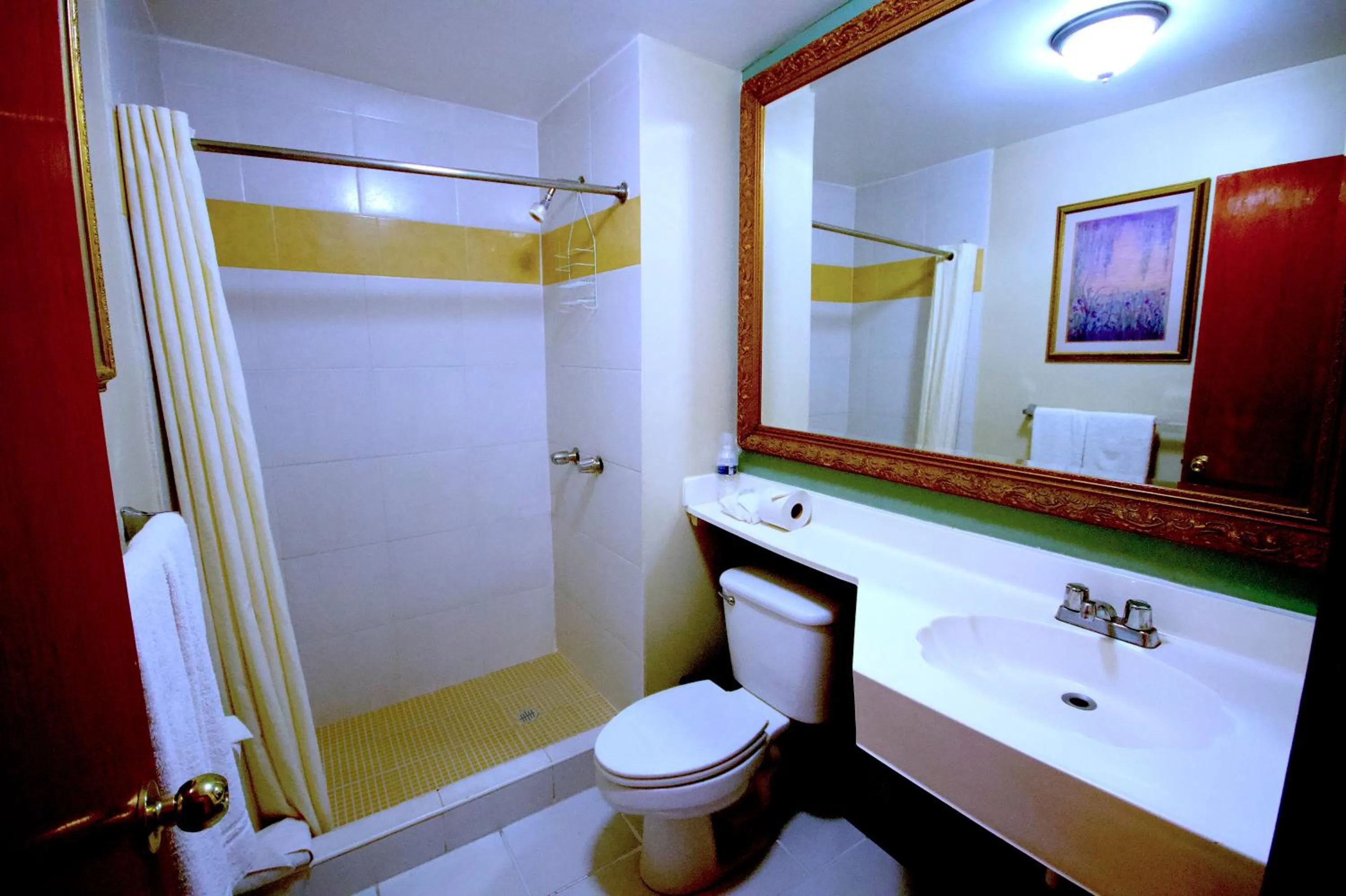 Bathroom in Hotel Consulado Inn