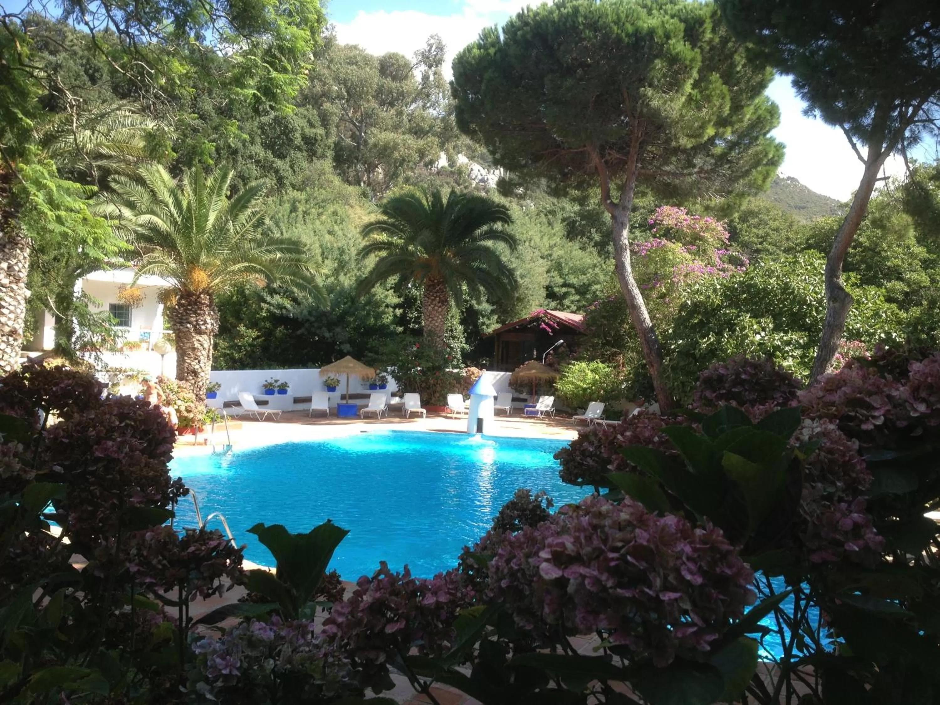 Swimming pool in Mesón de Sancho