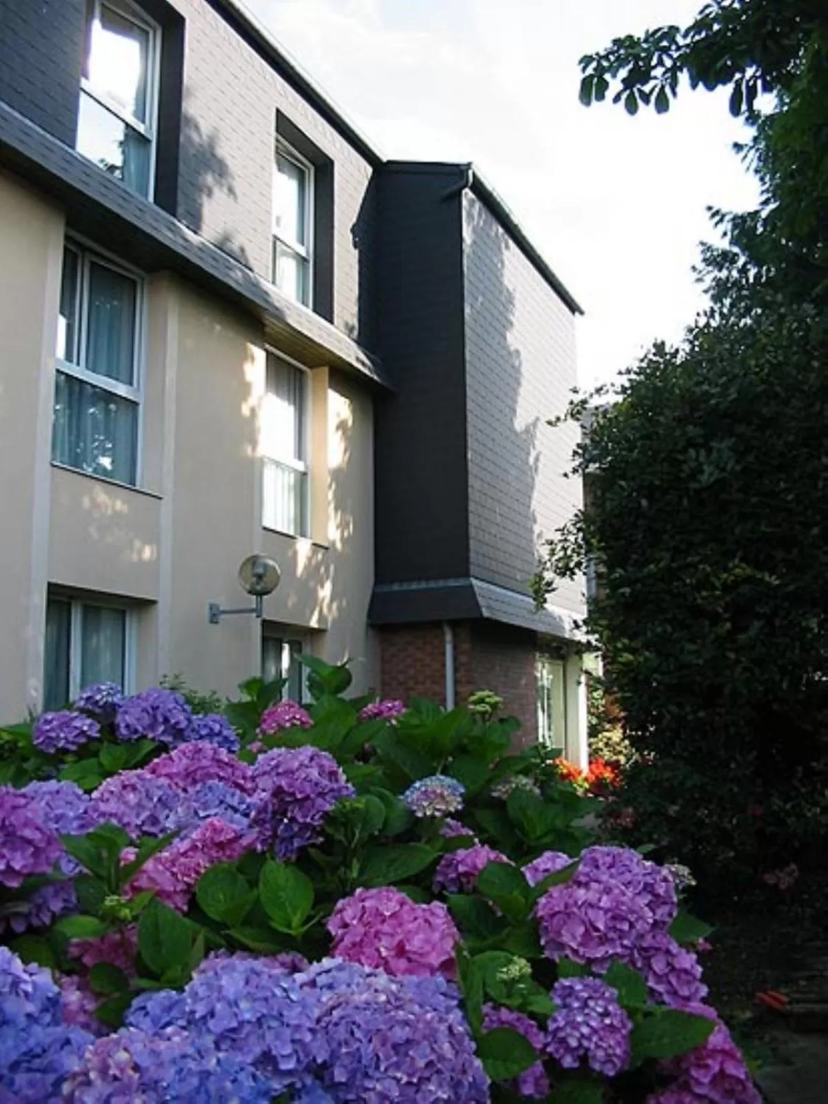 Property building in Hôtel Restaurant La Paix La Robe et le Palais