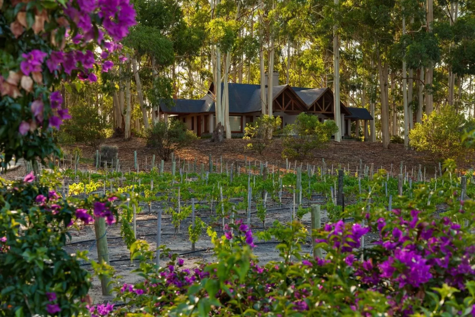 Garden in Carmelo Resort & Spa