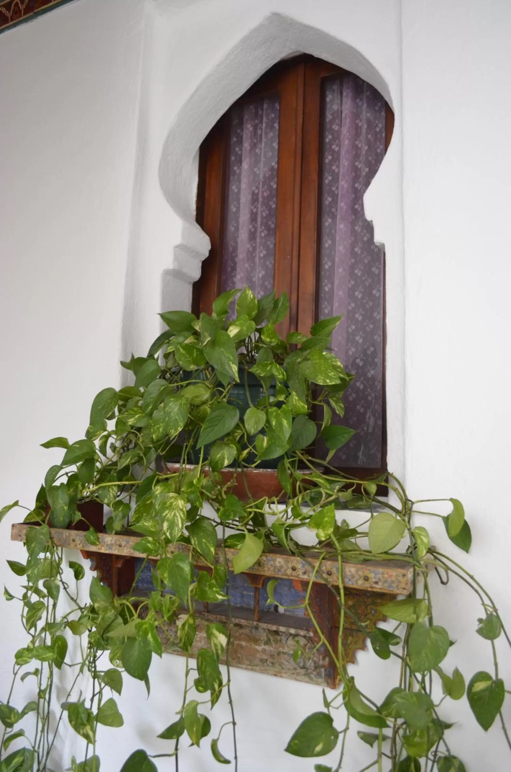 Decorative detail in Dar Meziana