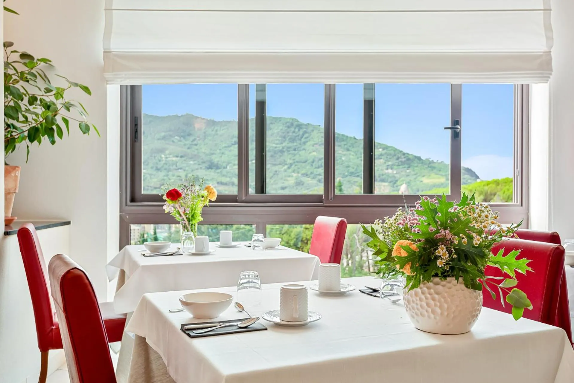 Restaurant/places to eat in Park Hotel Argento