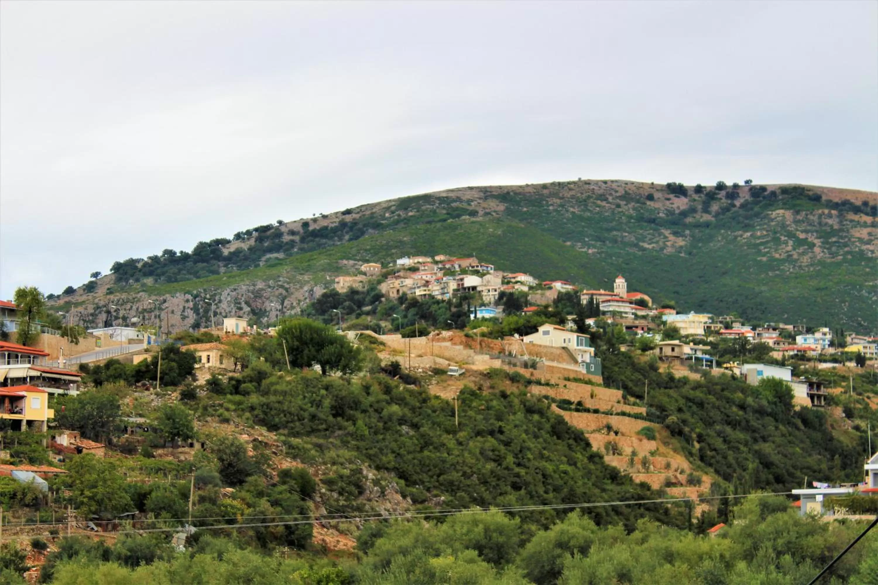 Neighbourhood in Hotel Frida