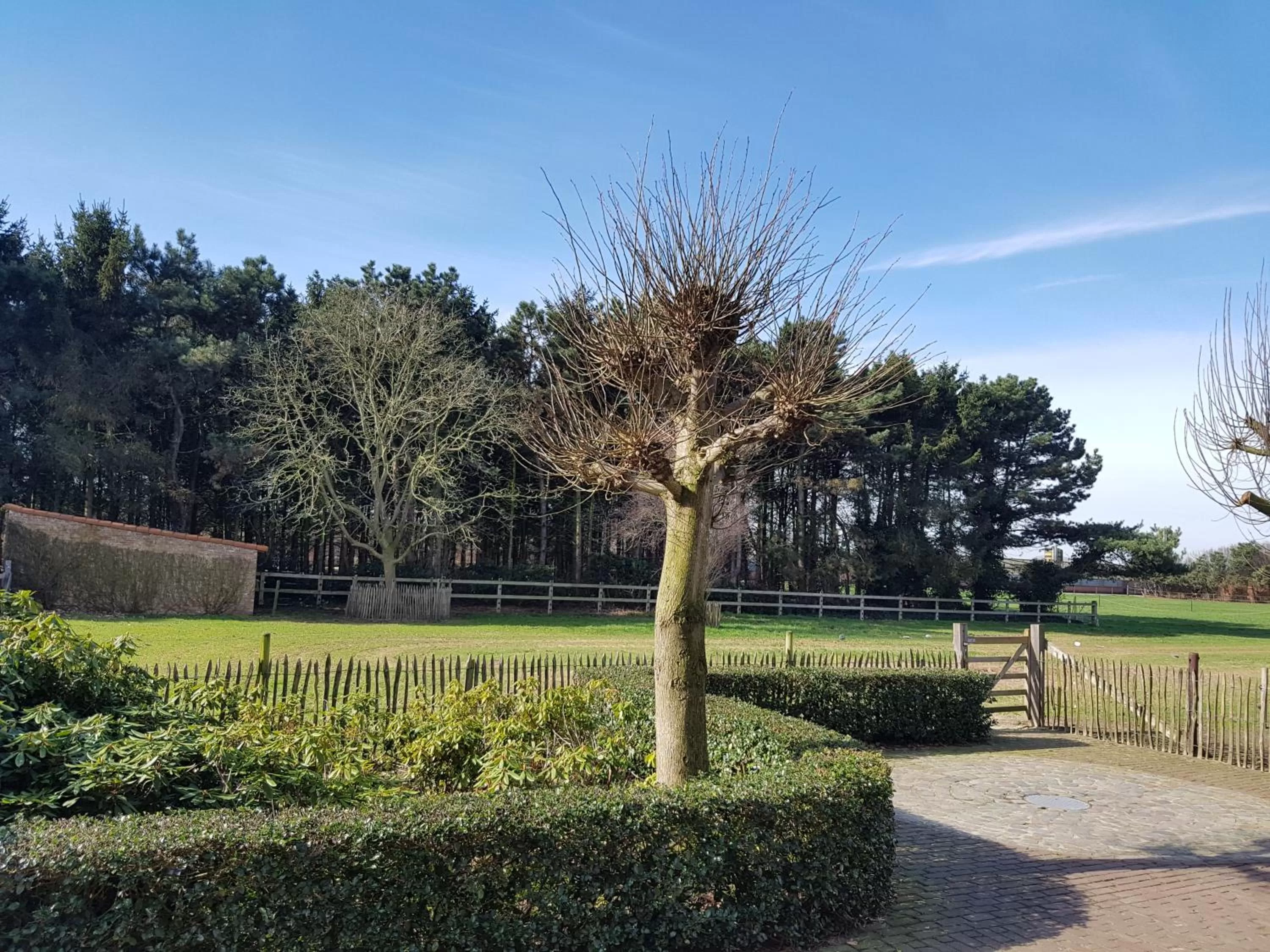 Property building in B&B Bergenhof