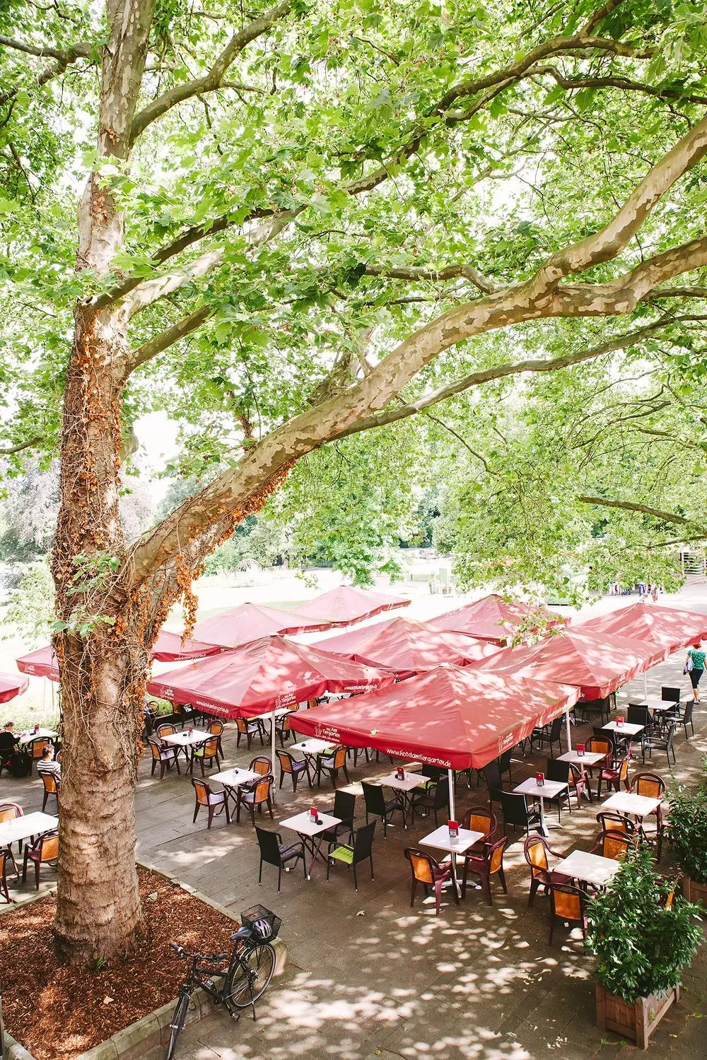 Balcony/Terrace in Hotel am Tiergarten