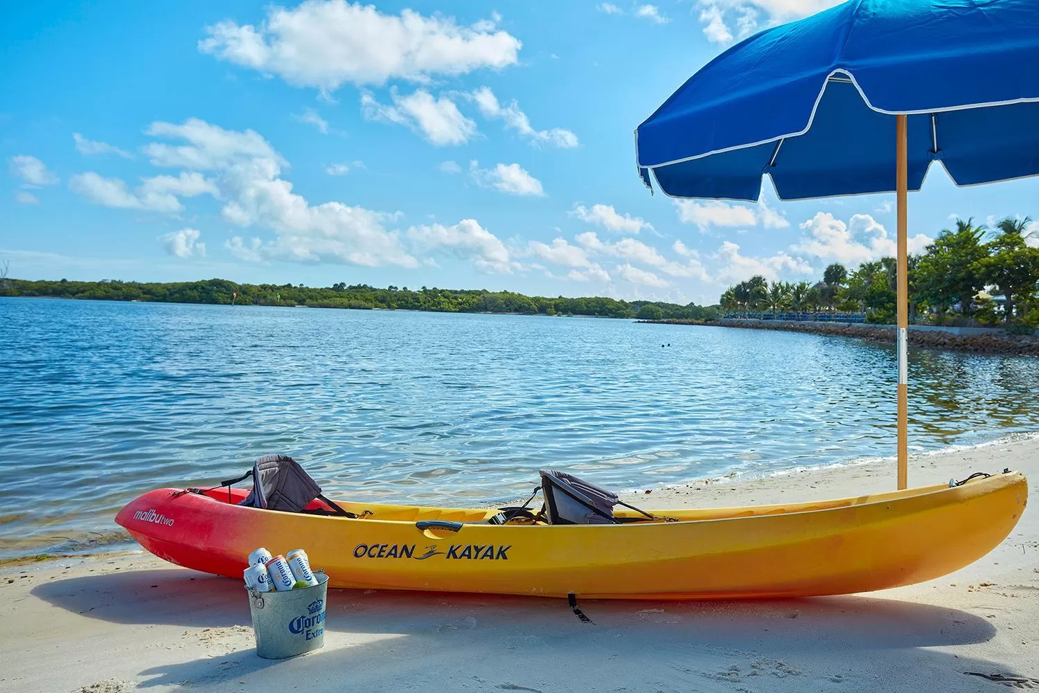 Natural landscape in The Pointe Hotel