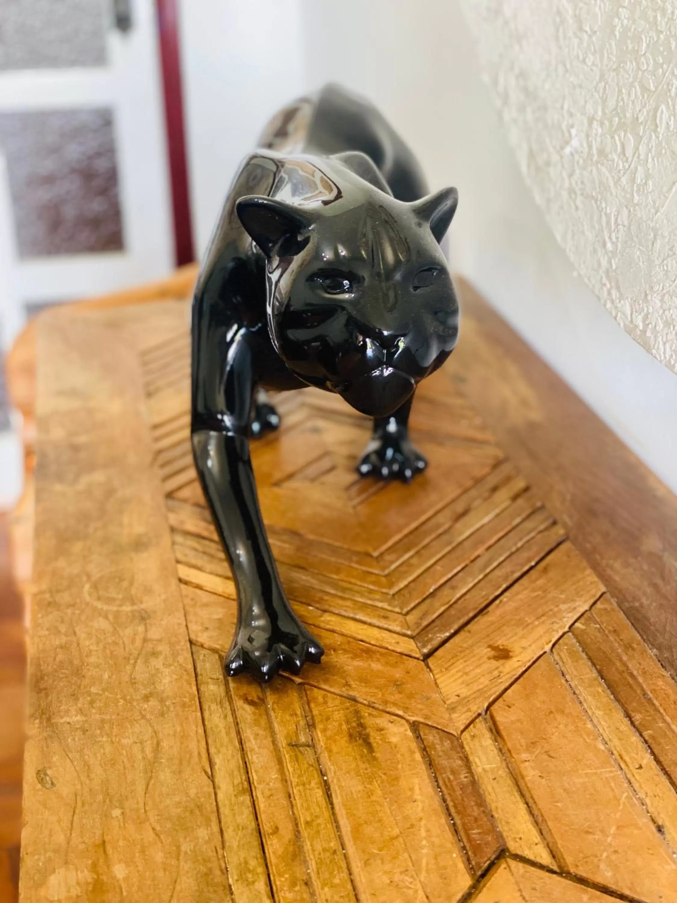 Pets in POUSADA CHARLOTTE