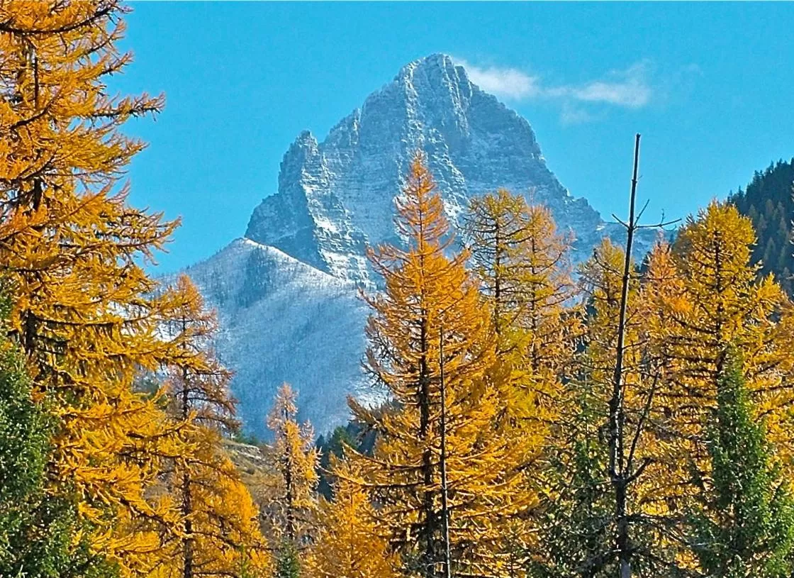 Area and facilities in Glacier Haven Inn