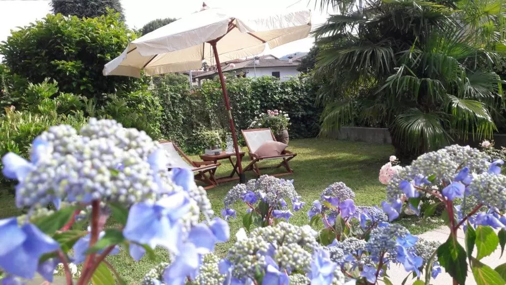 Garden in B&b Silvana