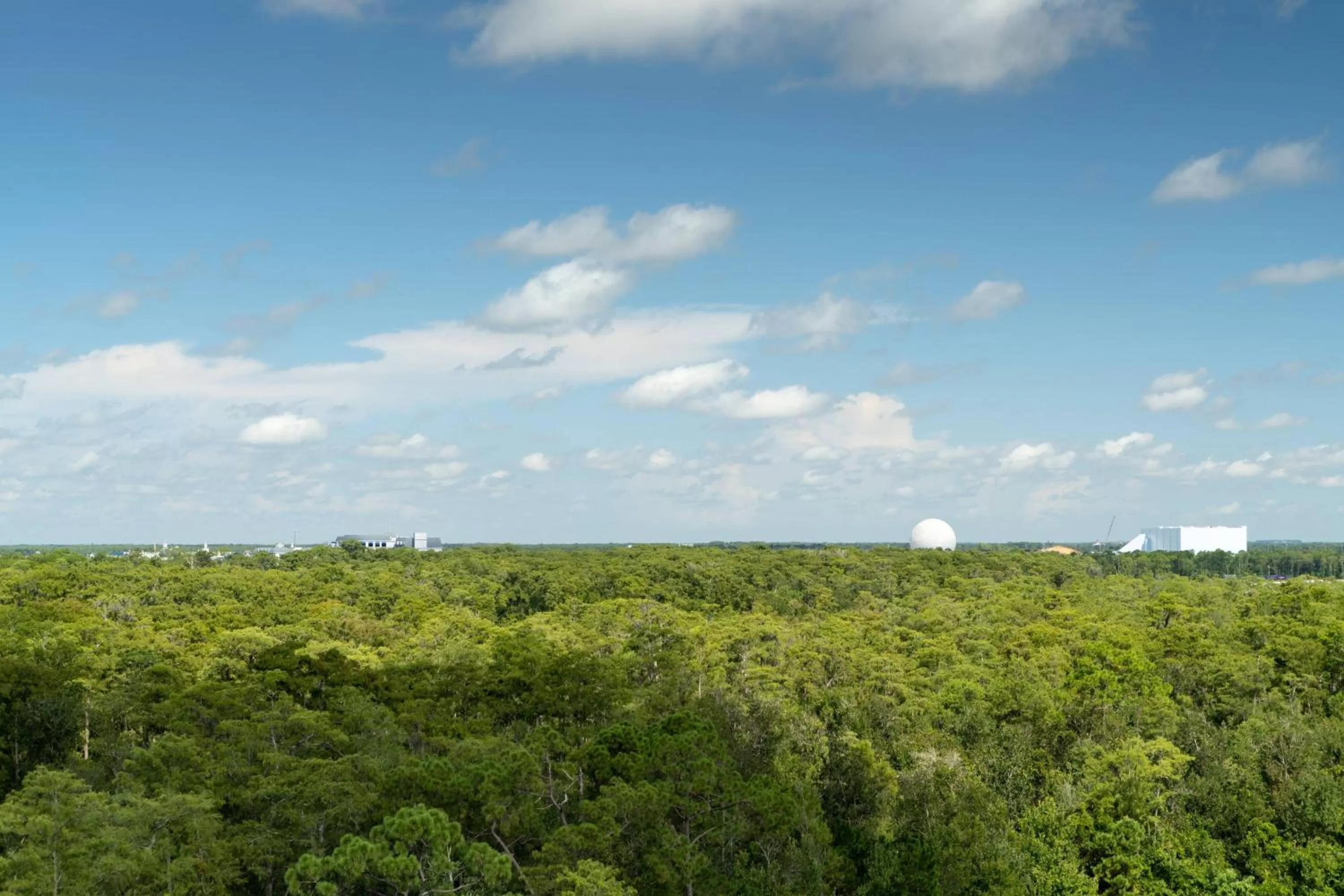Photo of the whole room in JW Marriott Orlando Bonnet Creek Resort & Spa