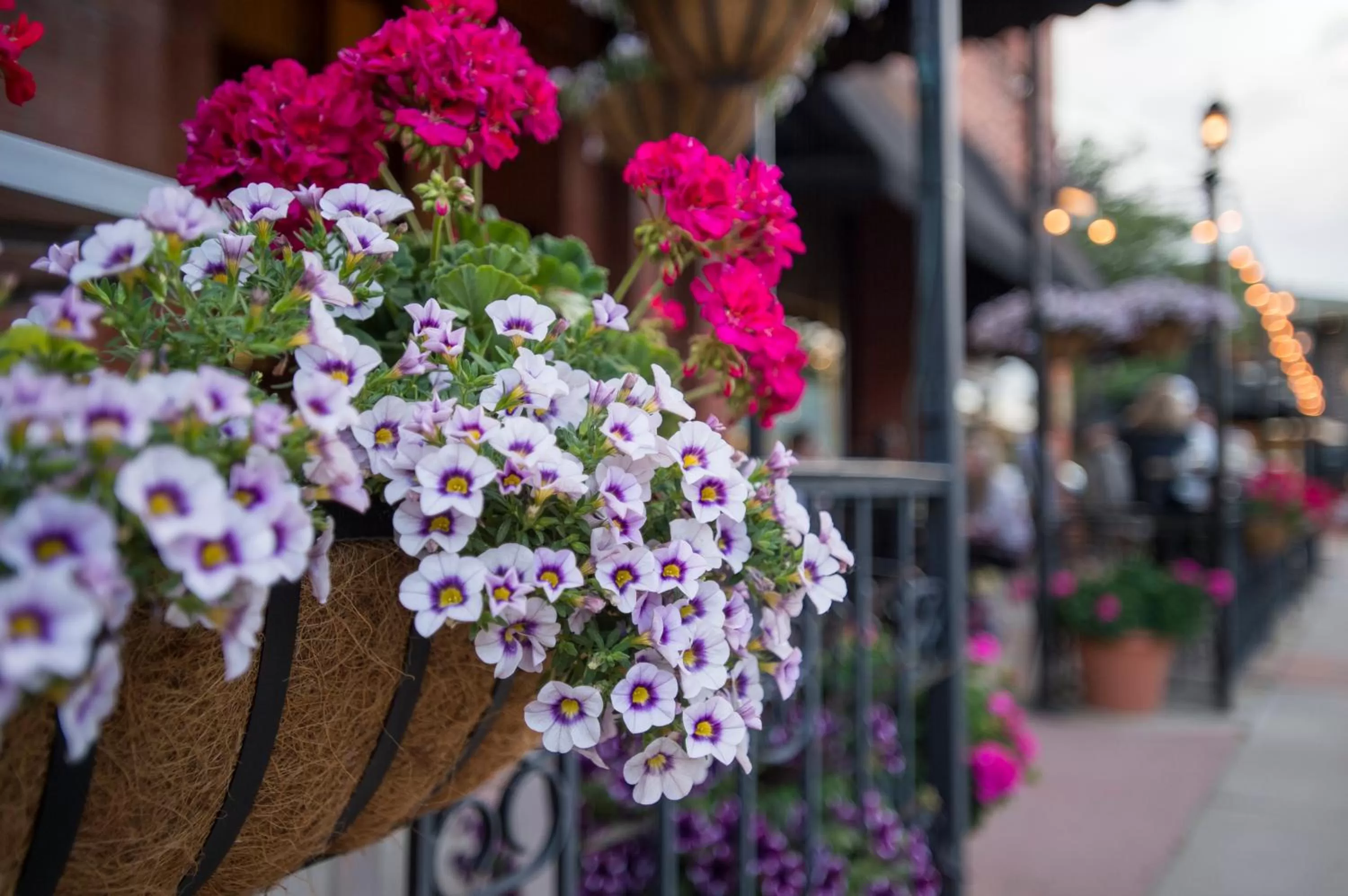 Restaurant/places to eat in Hotel Boulderado