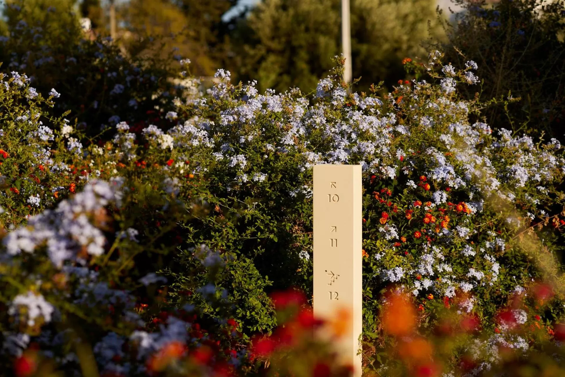 Decorative detail in White Shell Beach Villas