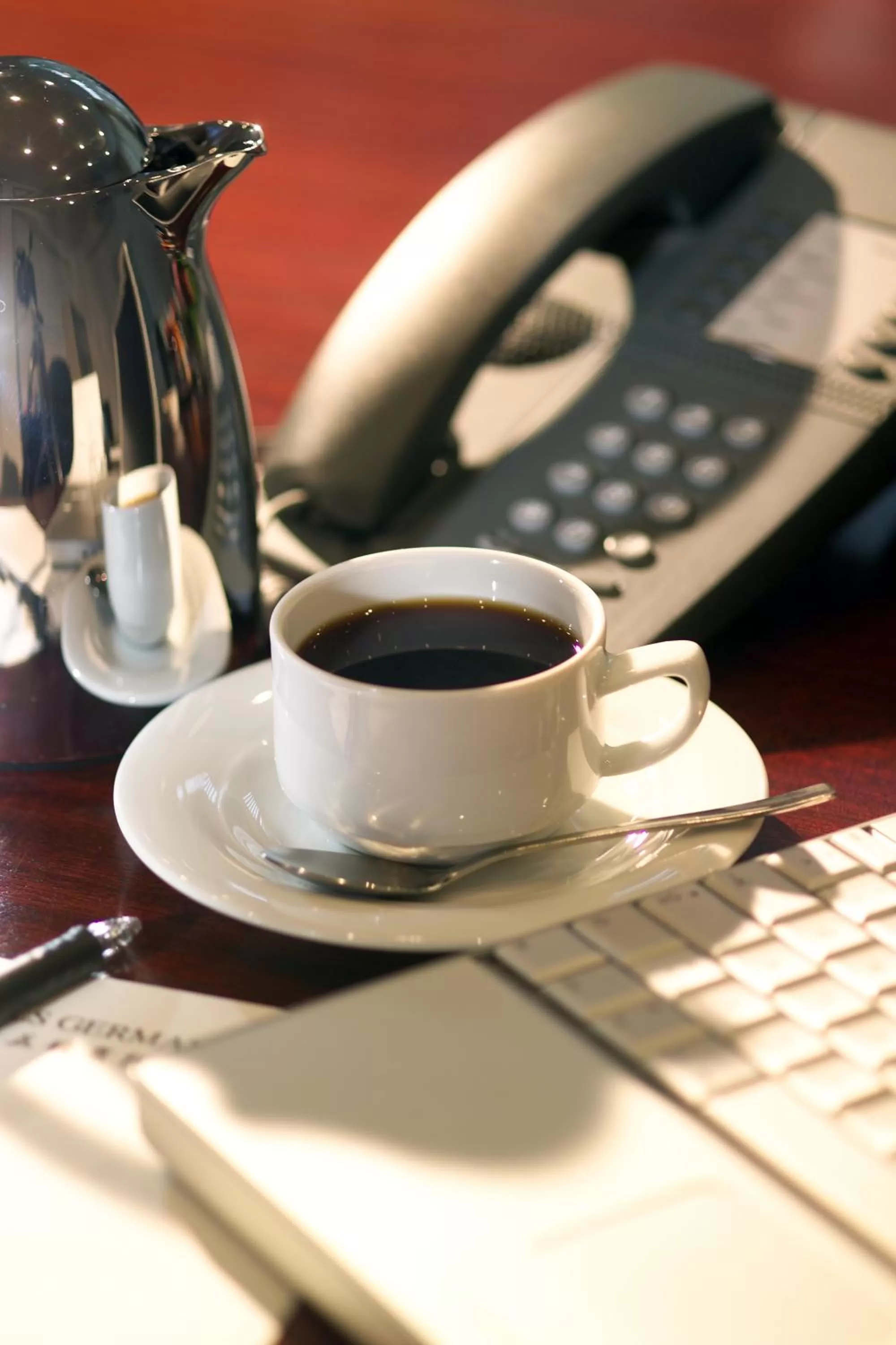 Business facilities in Hotel Mingarden