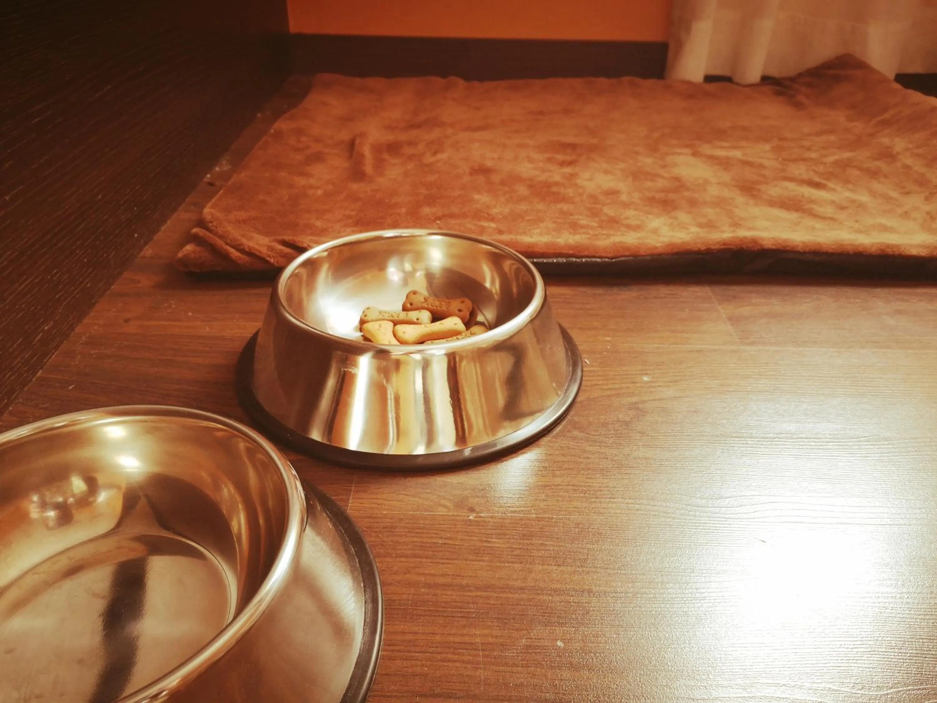 Animals in The Cookbook Gastro Boutique Hotel & SPA