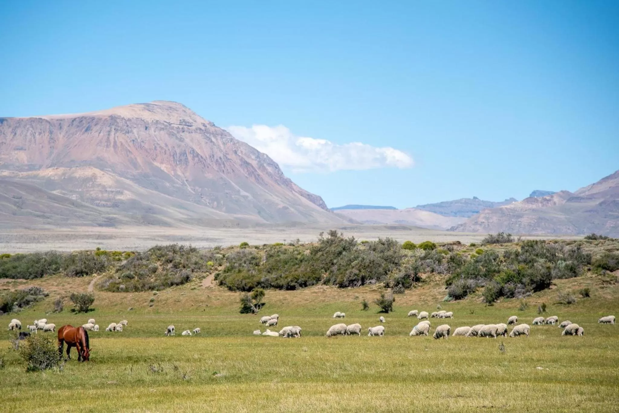 Hostería El Galpón Del Glaciar