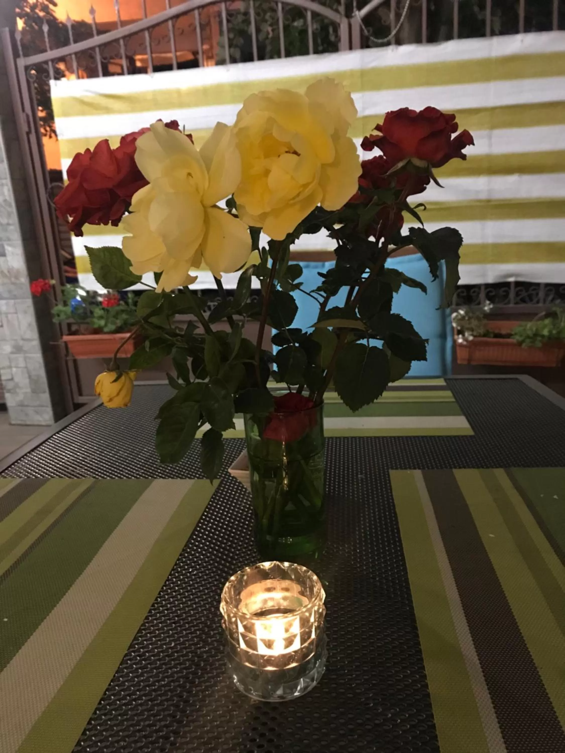 Patio in White Rose Family Guest House