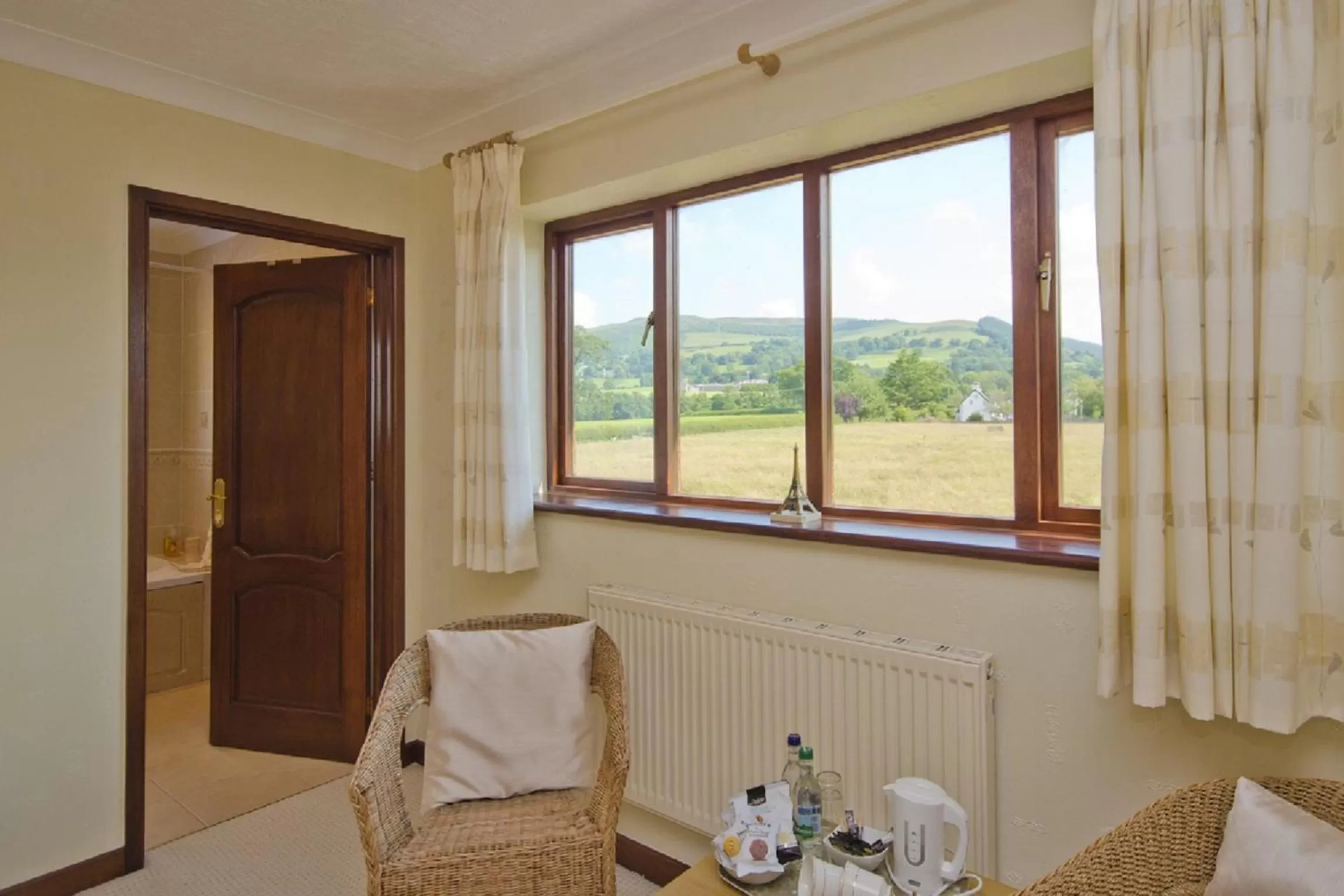 Natural landscape in Tall Trees