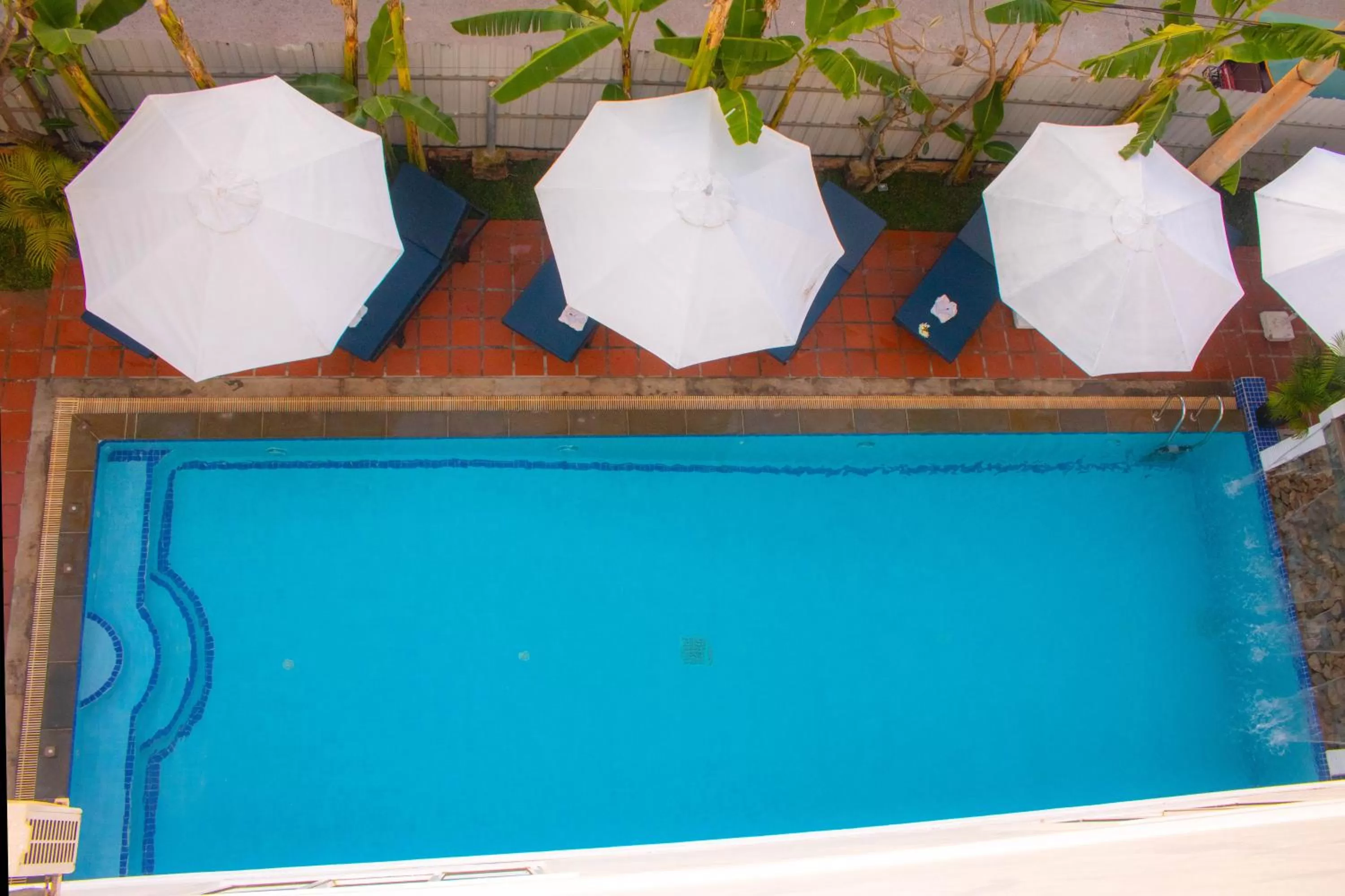 Swimming pool in The Blanc Residence