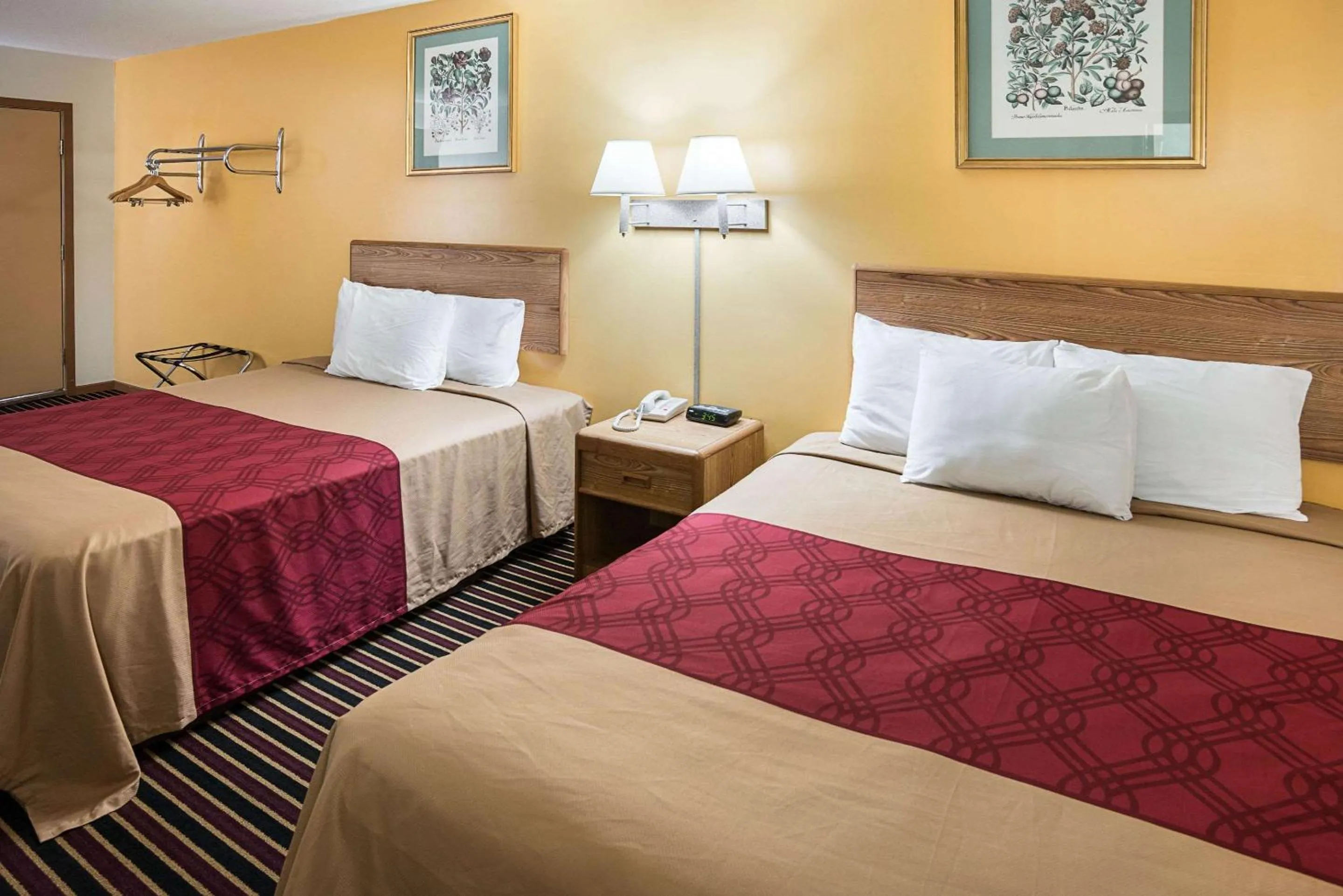 Photo of the whole room, Bed in Rodeway Inn & Suites Austin I-90