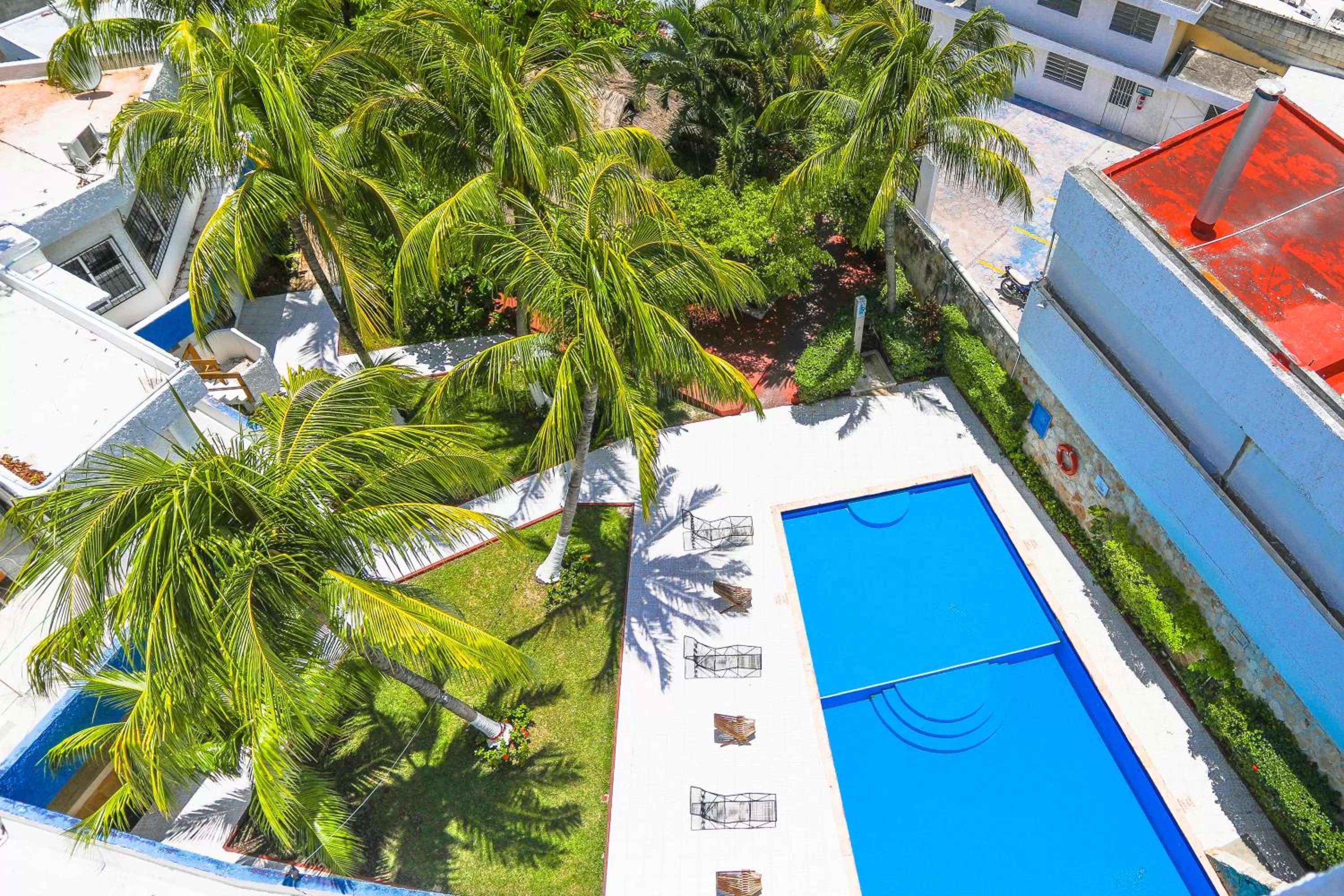 Garden view in Hotel Caribe Internacional Cancun