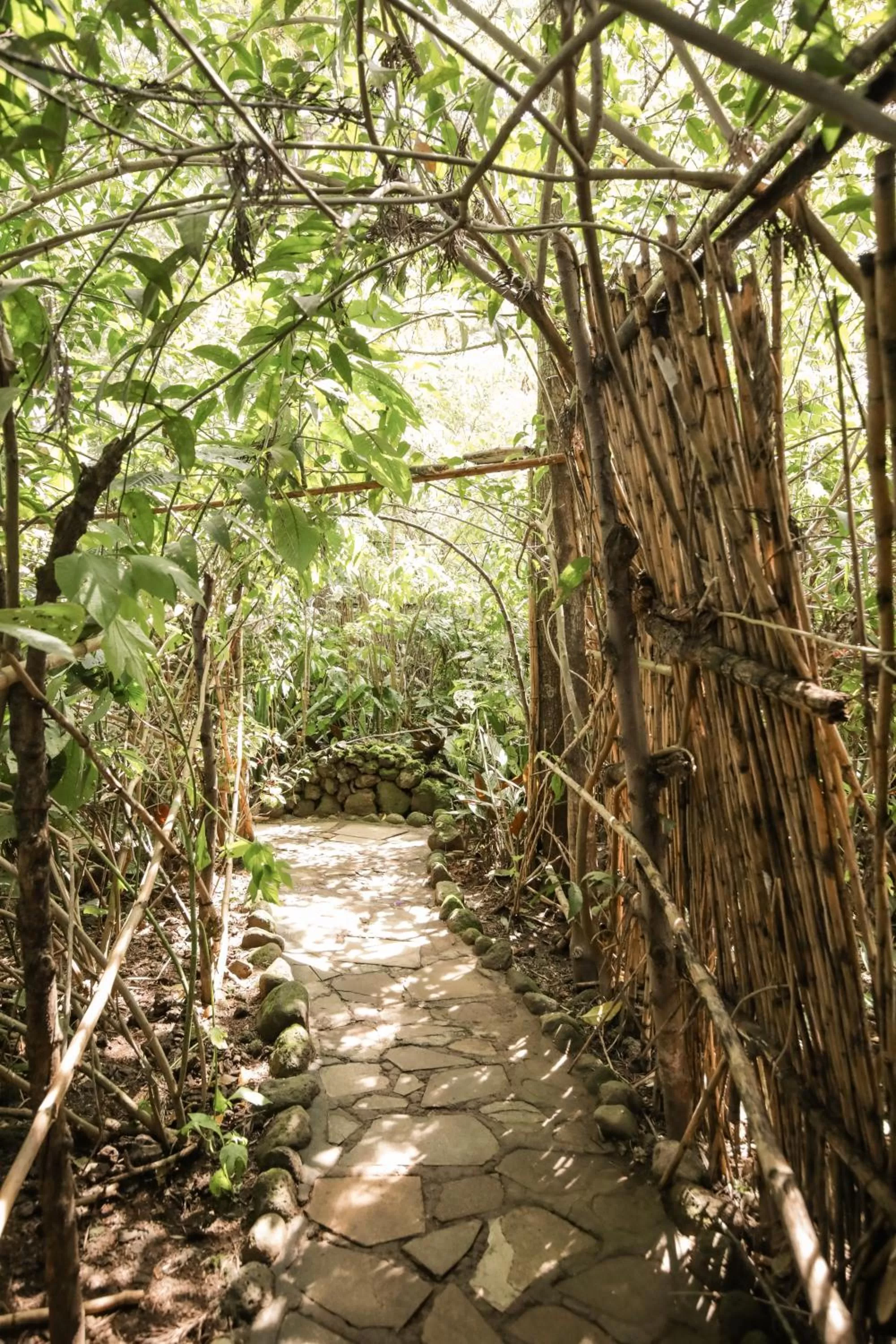 Property building in Fravan Eco Resort By Apogee