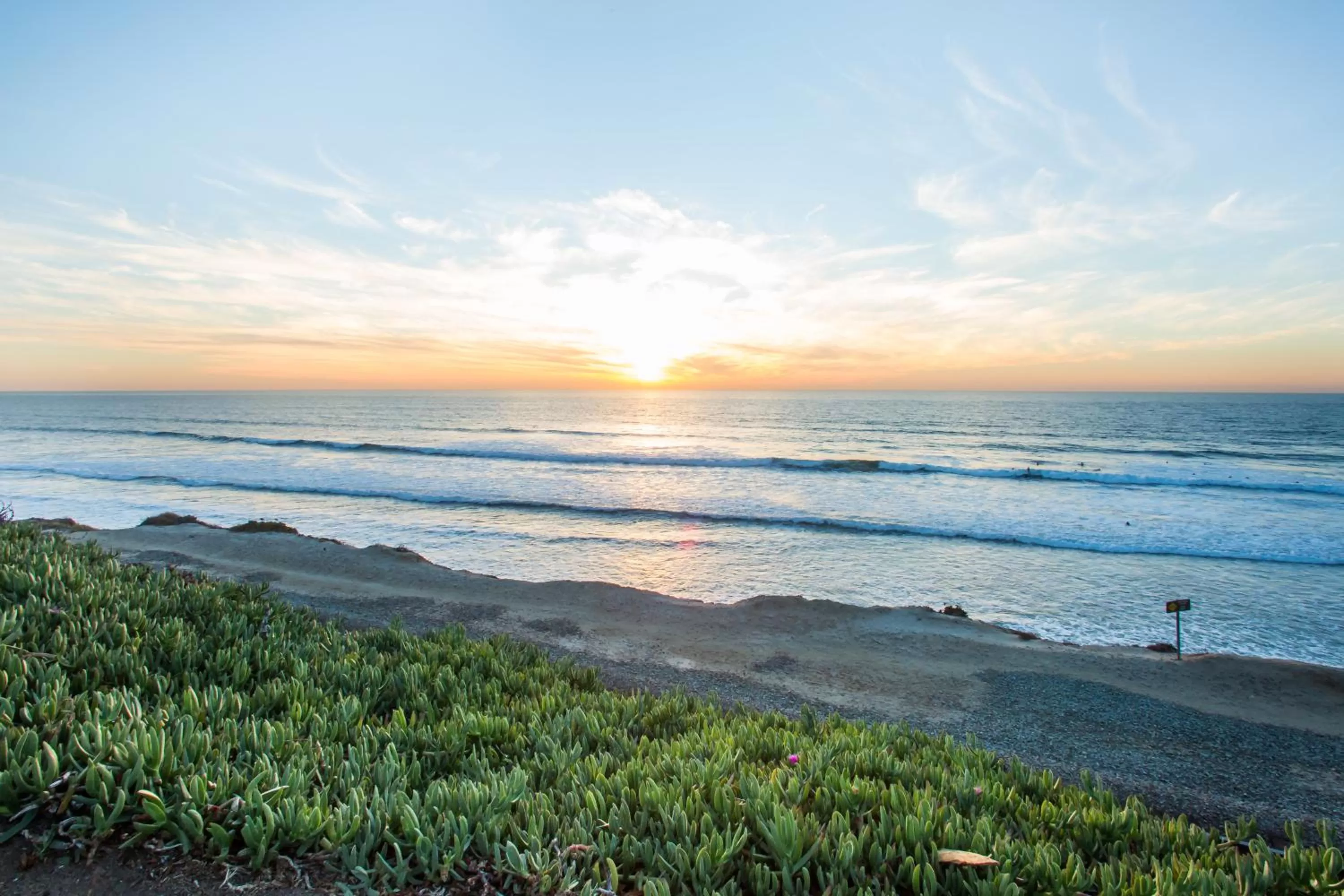 Area and facilities in Hotel Indigo San Diego Del Mar by IHG