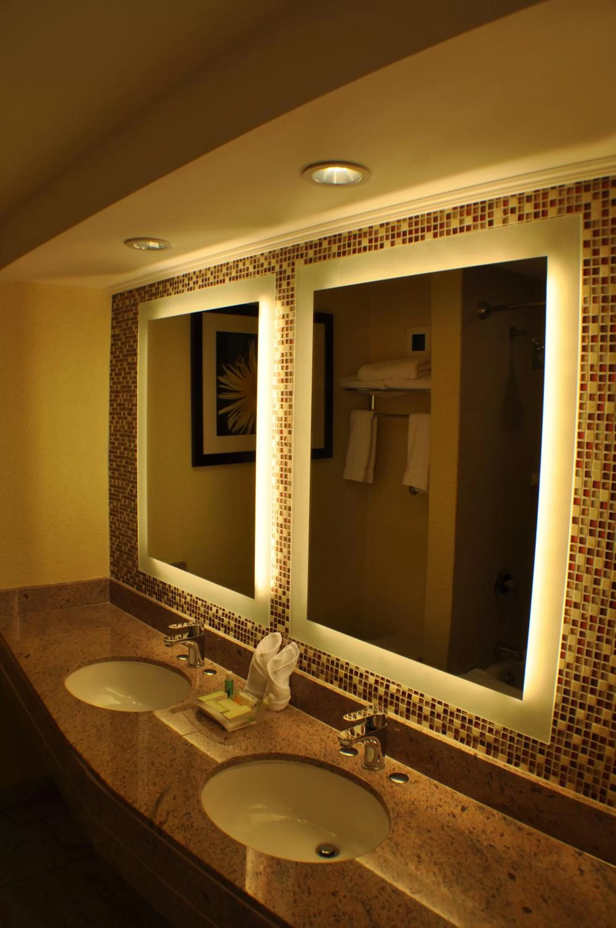 Bathroom in Radisson Aquatica Resort Barbados