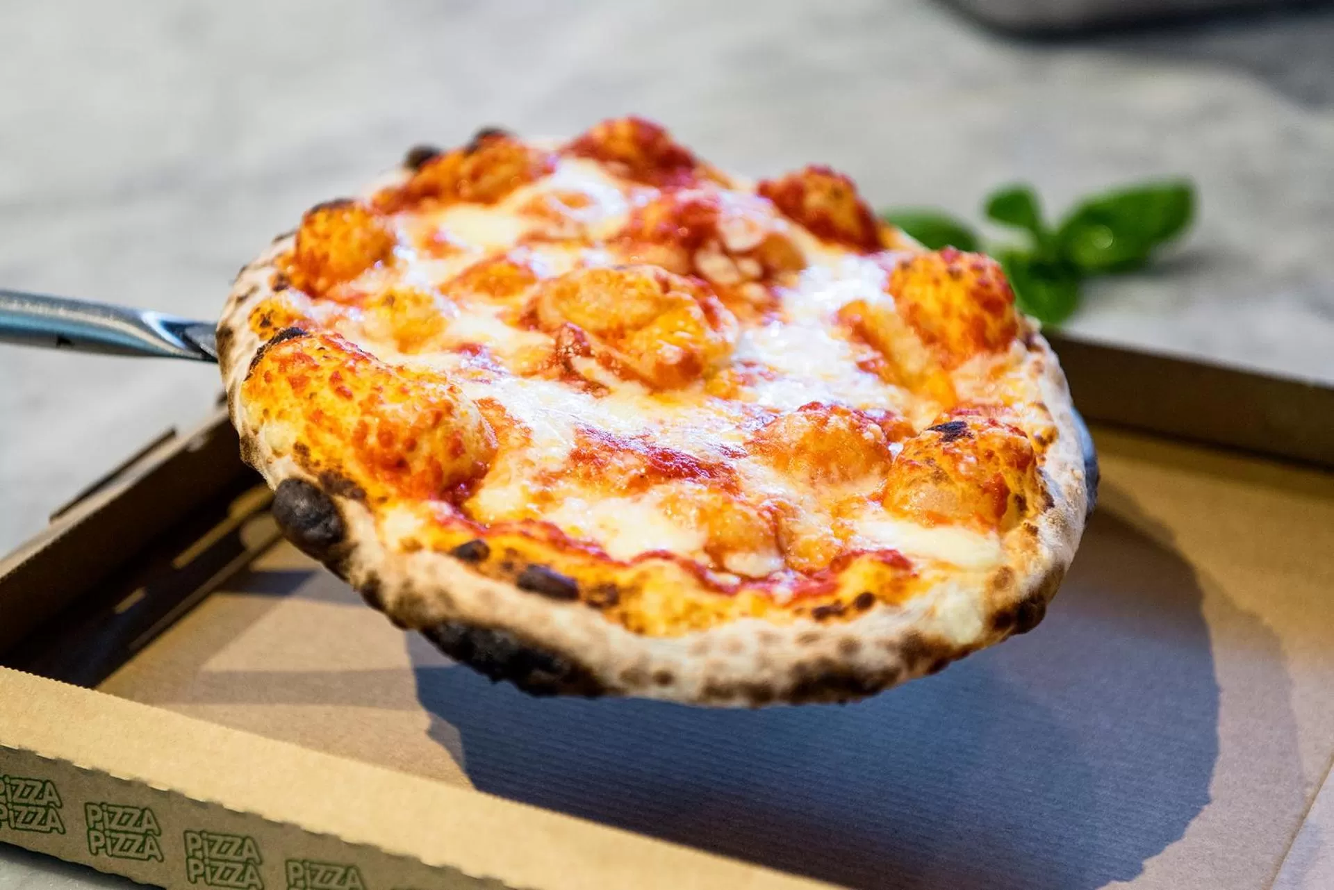 Food in Hotel Isola Sacra Rome Airport