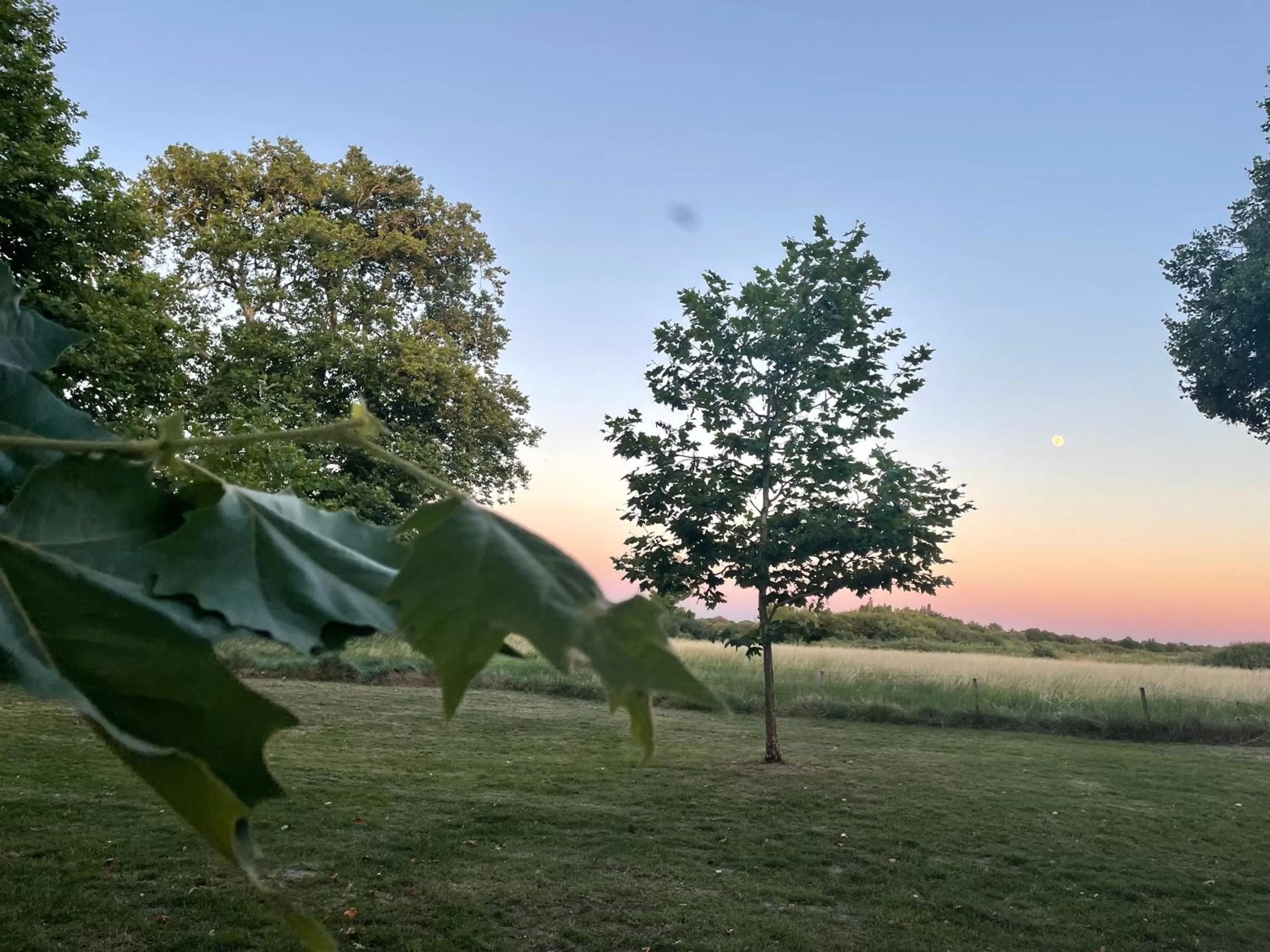 Property building in Château de Neyran chambre d'hôtes & Spa