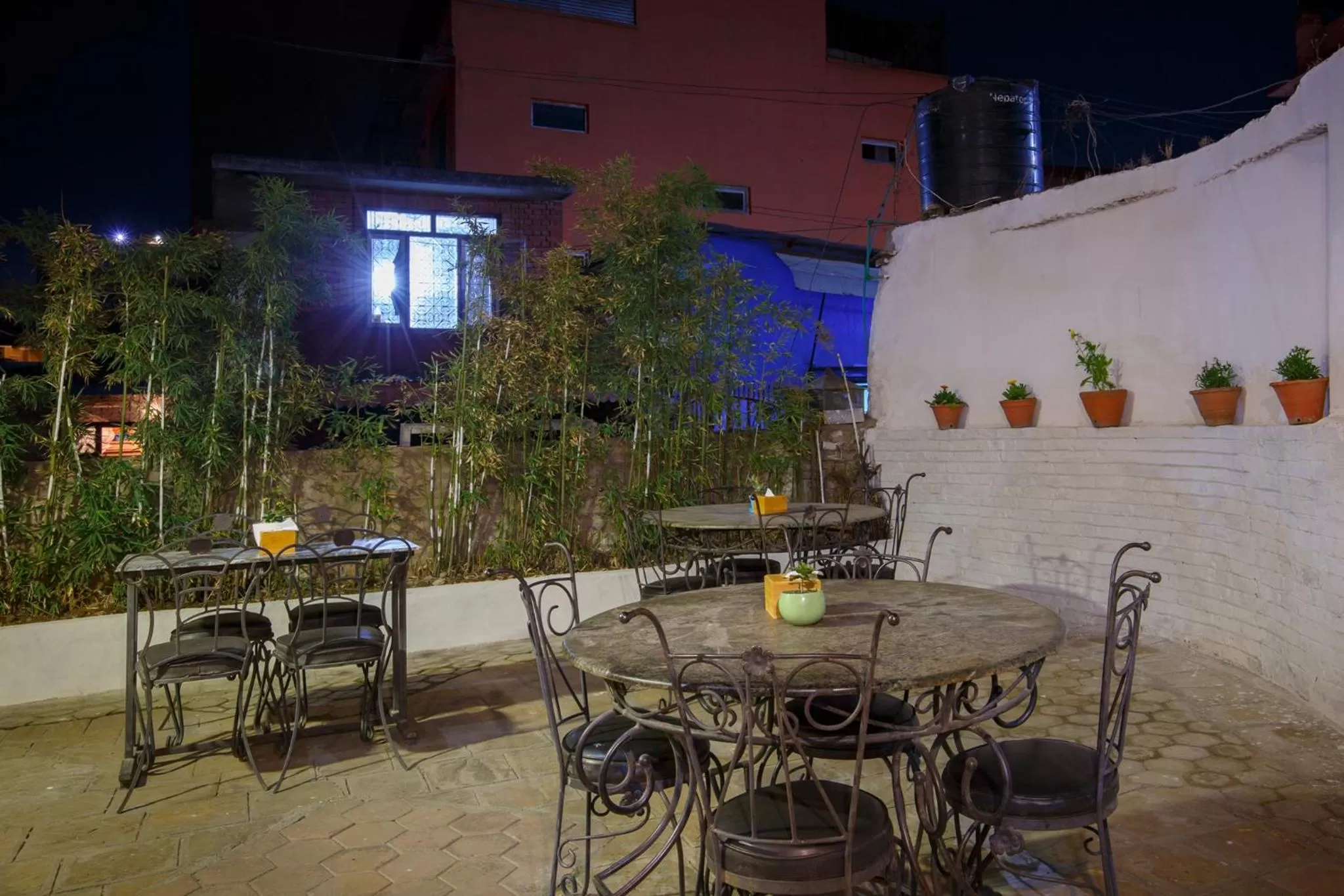 Garden in Pacific Guest House