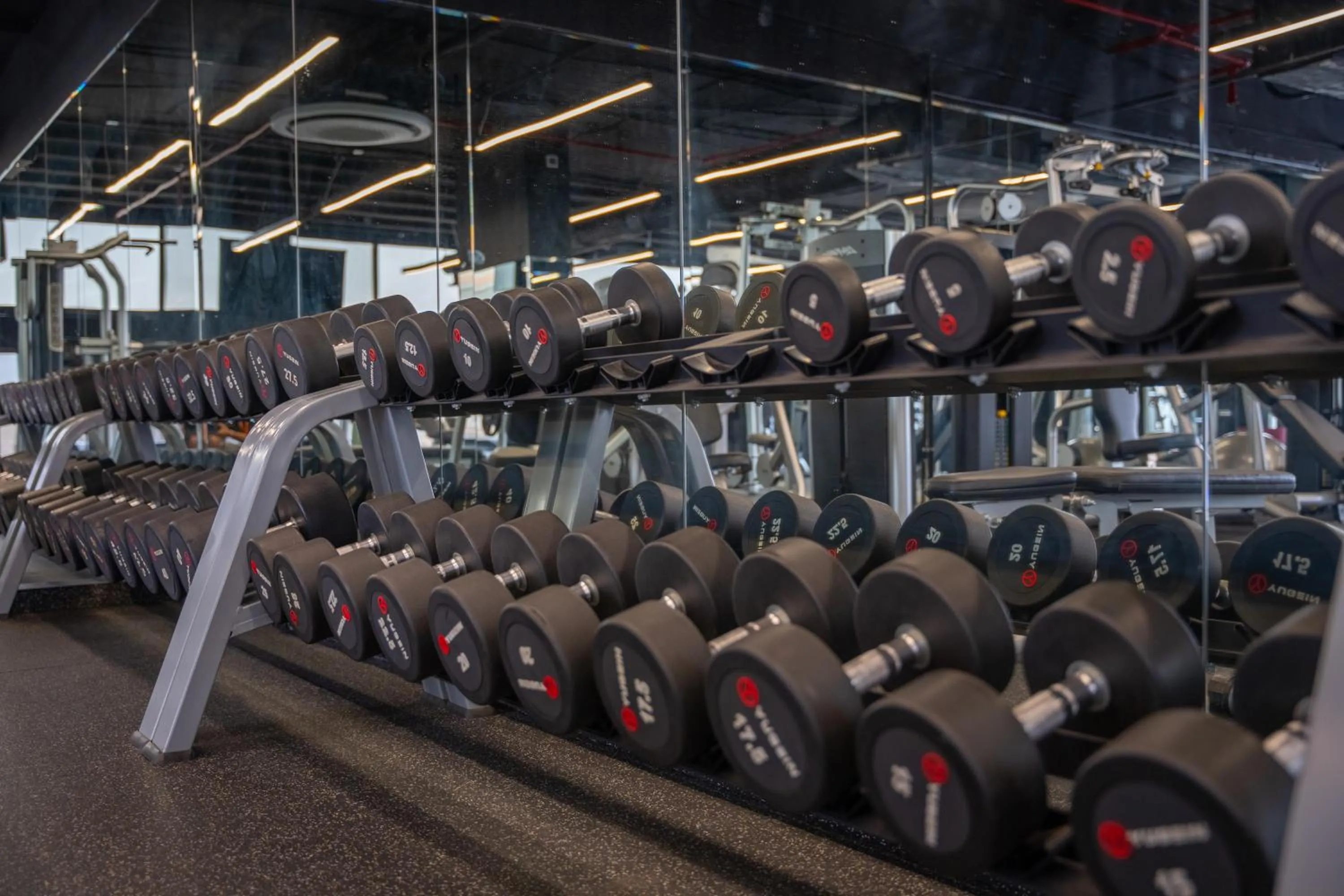 Fitness centre/facilities in Rosemond Al Hamra