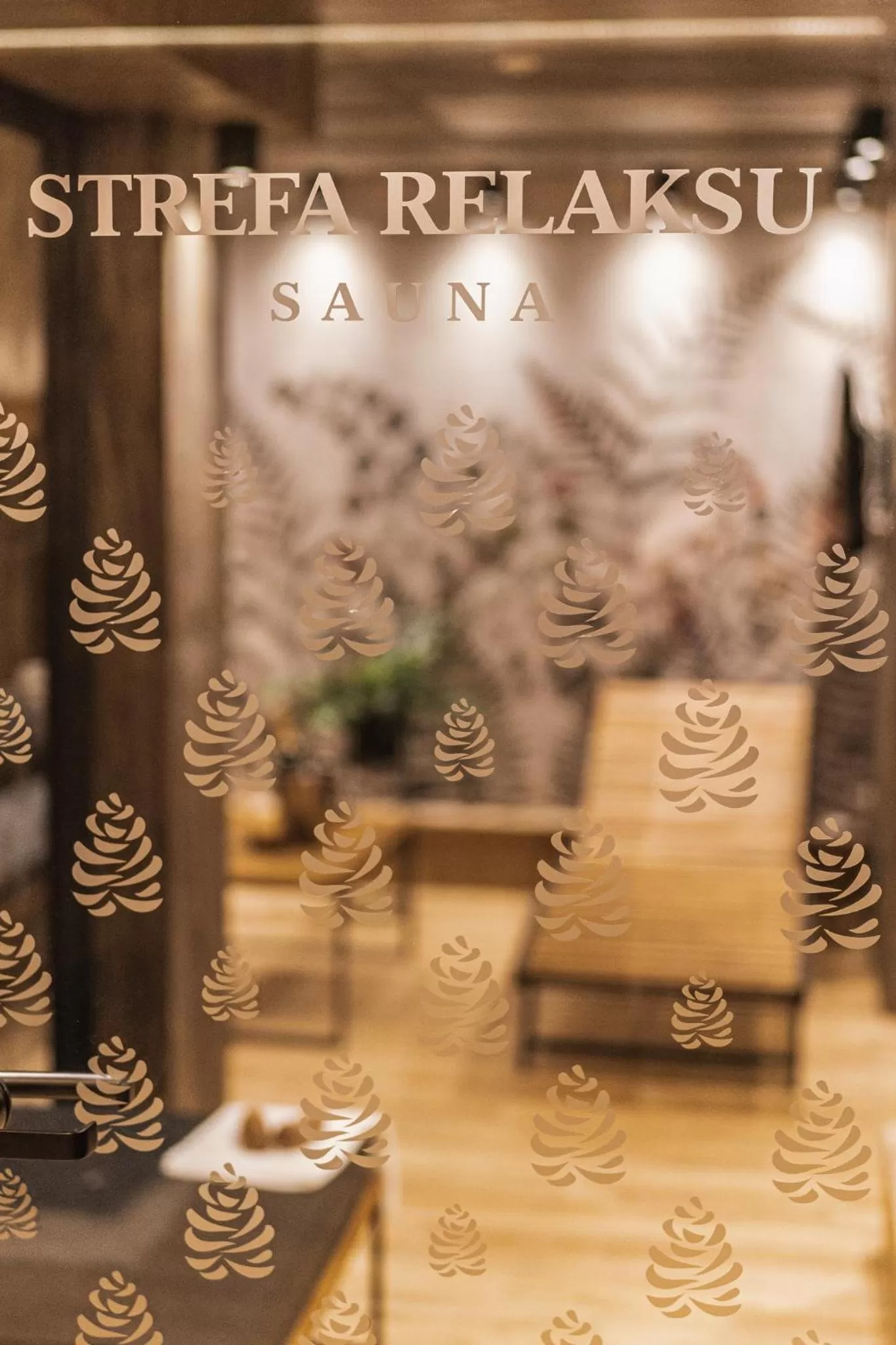 Sauna in Apartamenty Jedlina