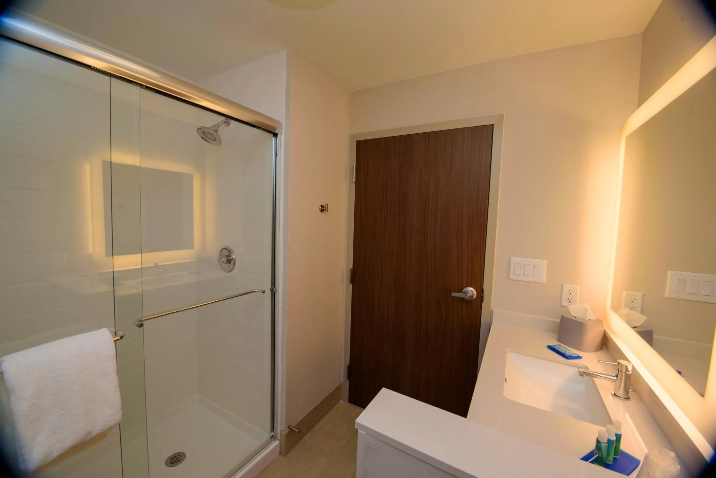 Shower in Holiday Inn Express & Suites McKinney - Frisco East by IHG