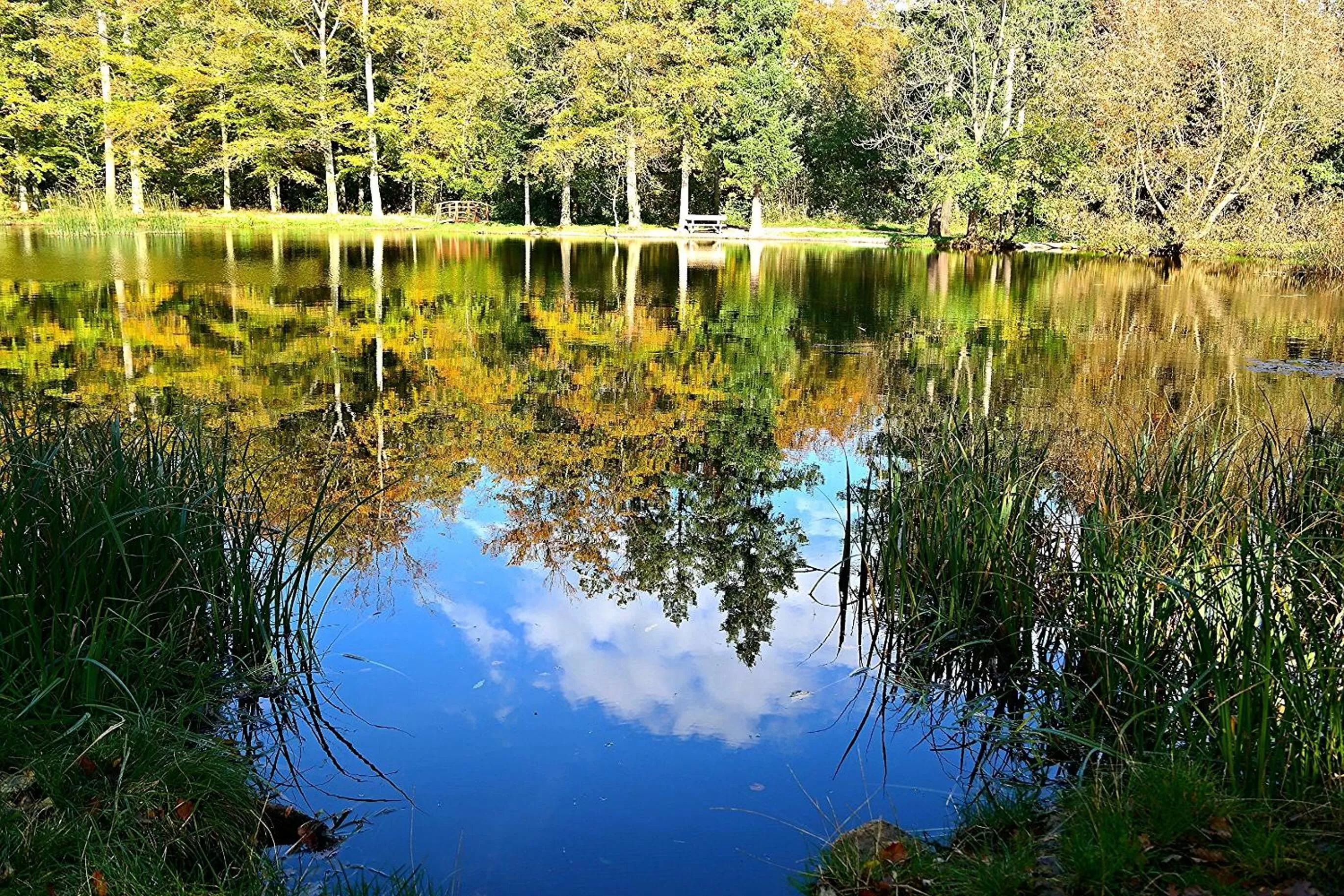 Autumn, Lake View in Landhaus Tonmühle