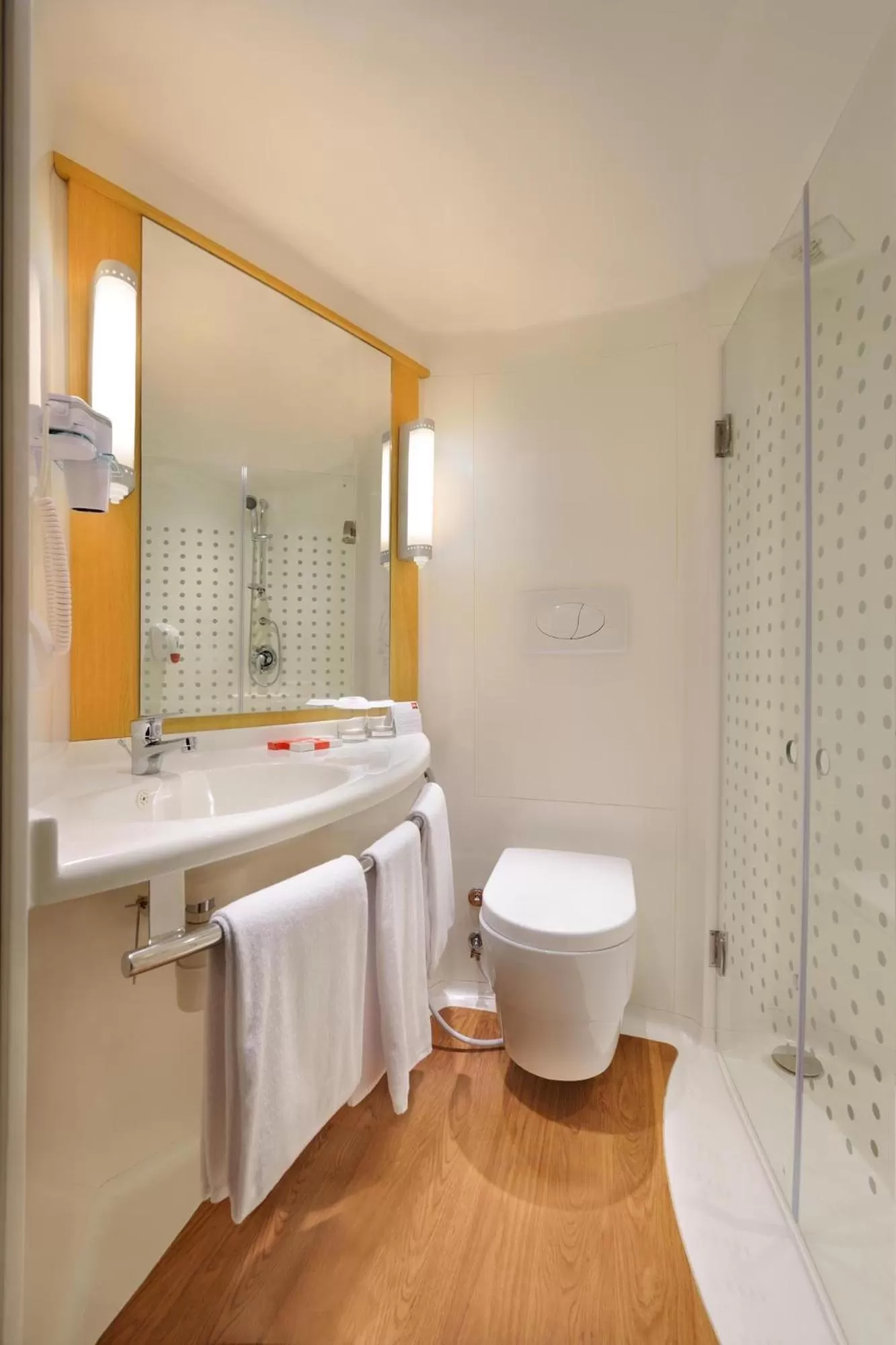 Toilet in Ibis Padang