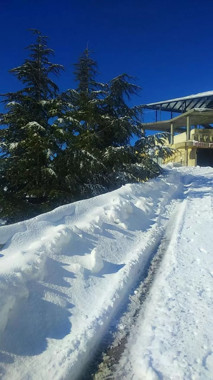 Winter in Hotel L'Aiglon