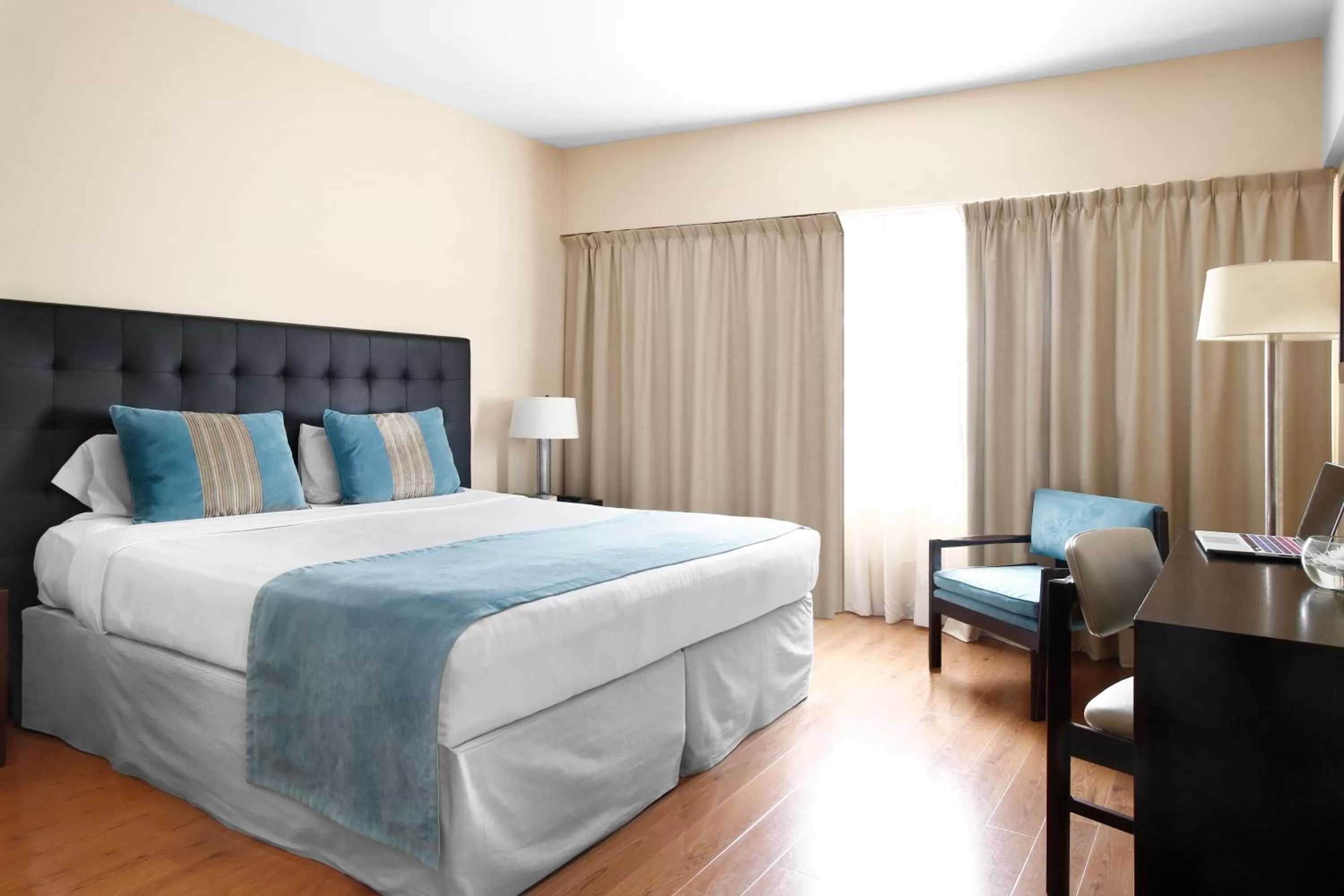 Standard Double Room in Cyan Hotel de Las Americas