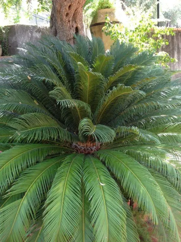 Day in Hotel Villa Sirina