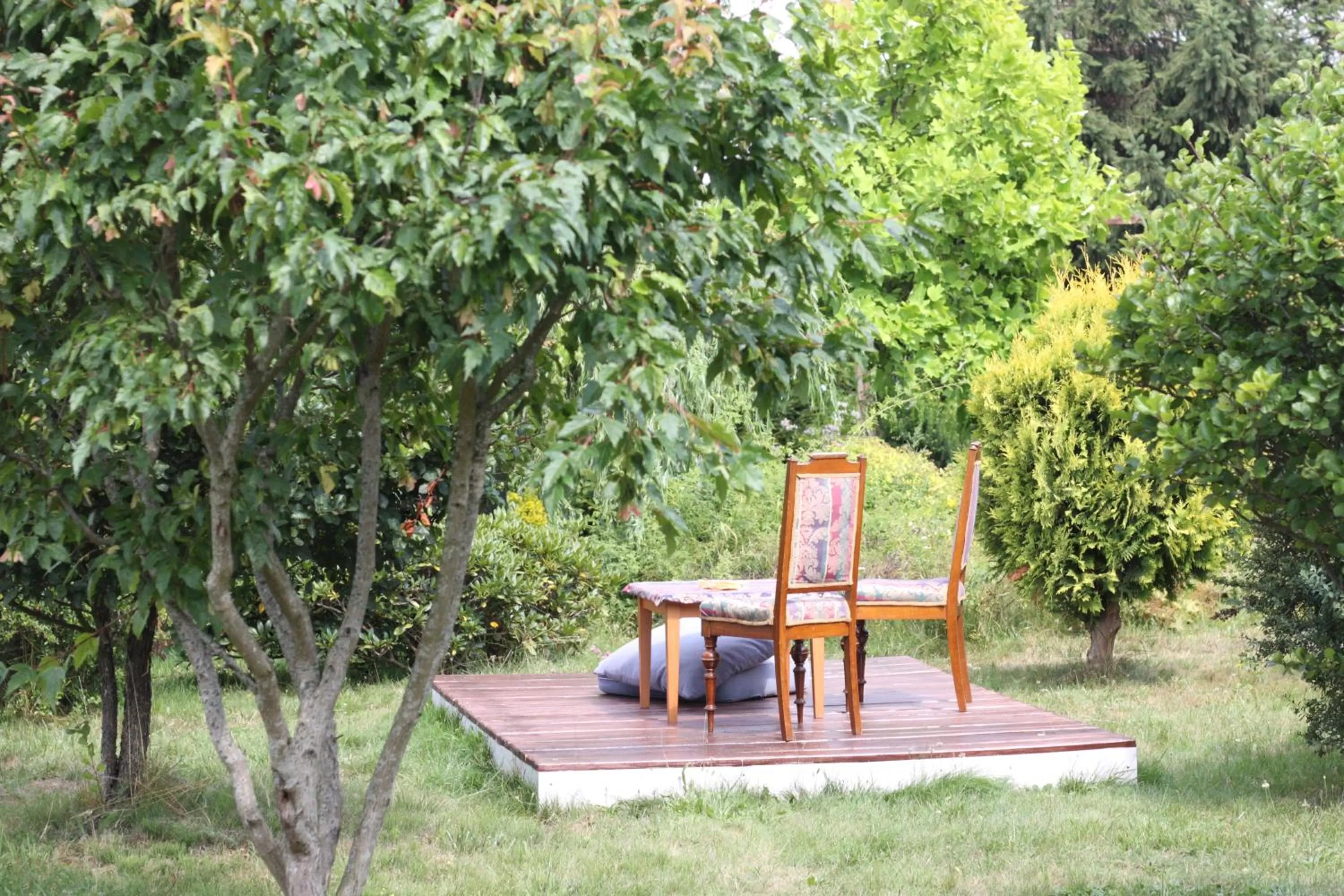 Garden in Gościniec pod Kłosem