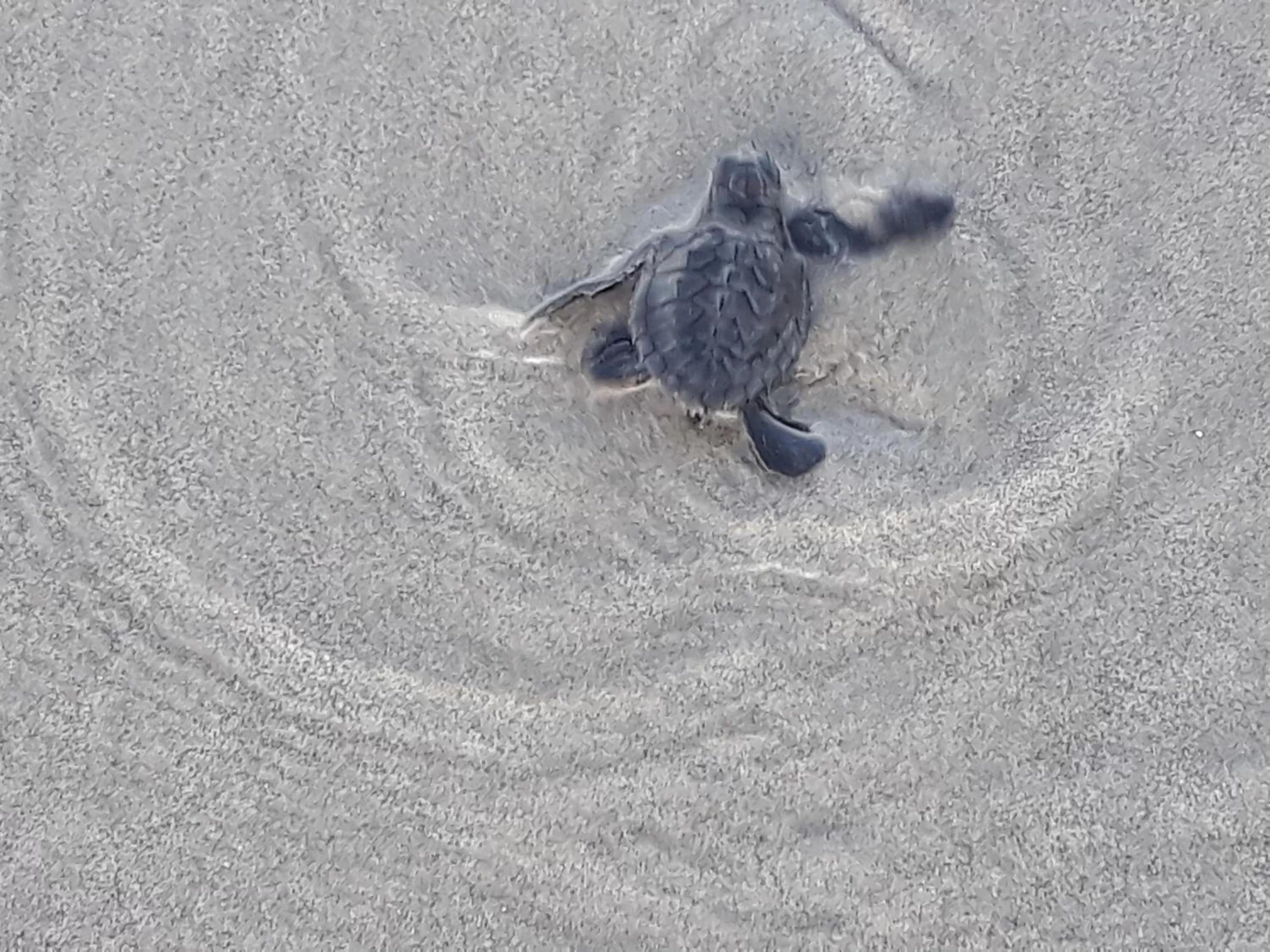 Victoria Beach House