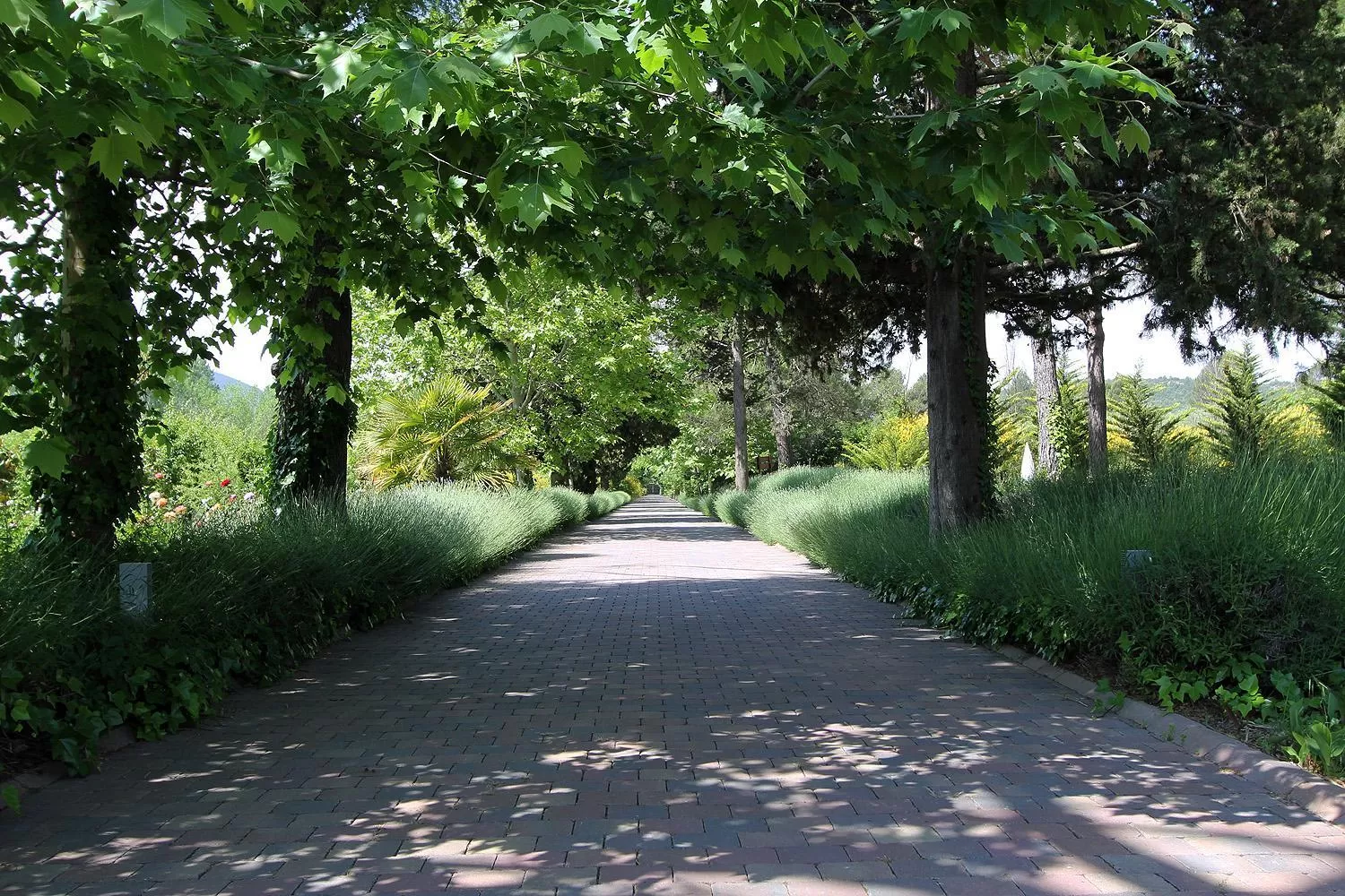 Facade/entrance in Hotel Ferrero - Singular's Hotels