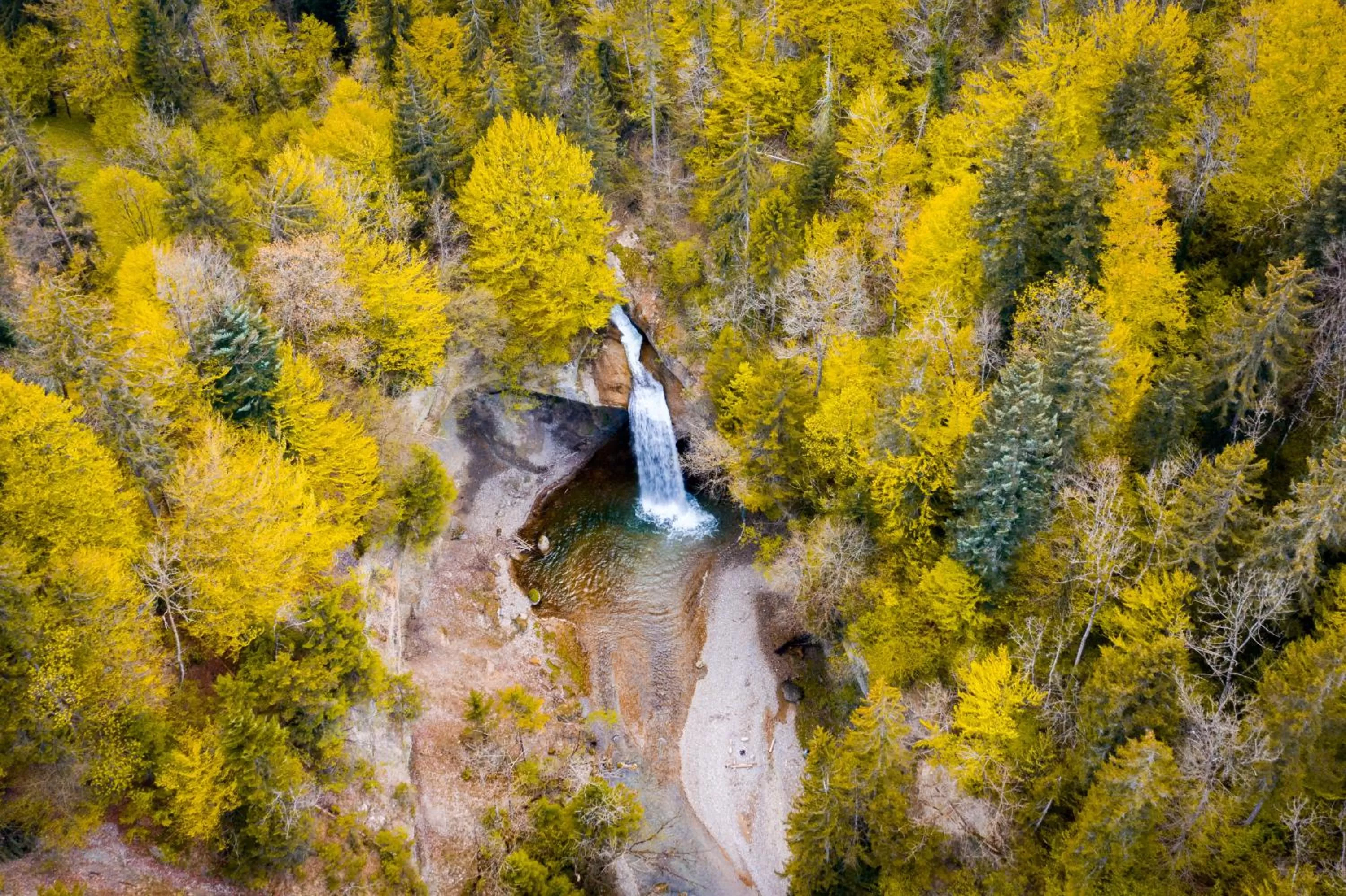 Staff, Natural Landscape in kroneLODGE - Self-Check-In Hotel