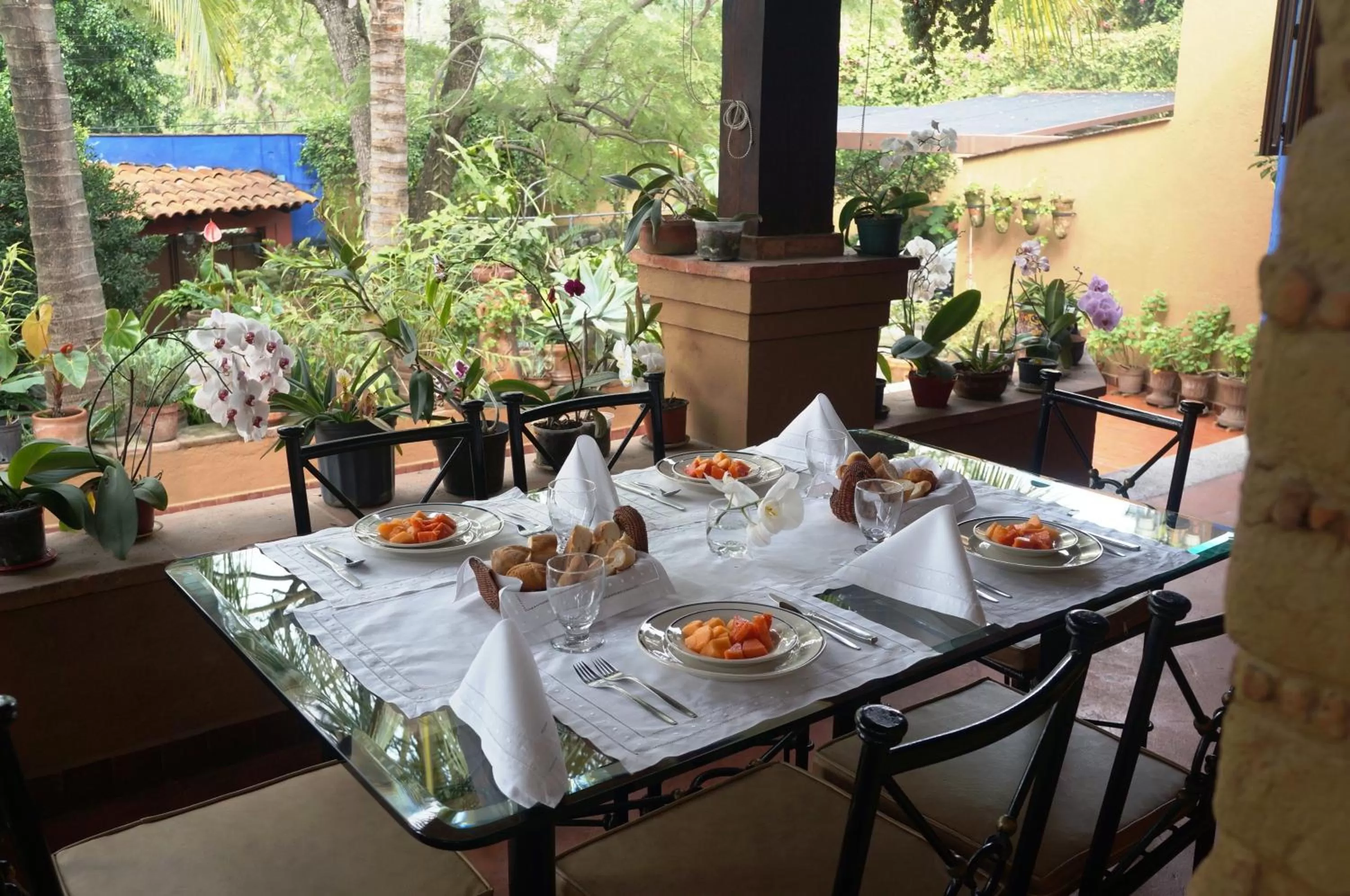 Orchidelirium Casa Hotel & Salud Estética