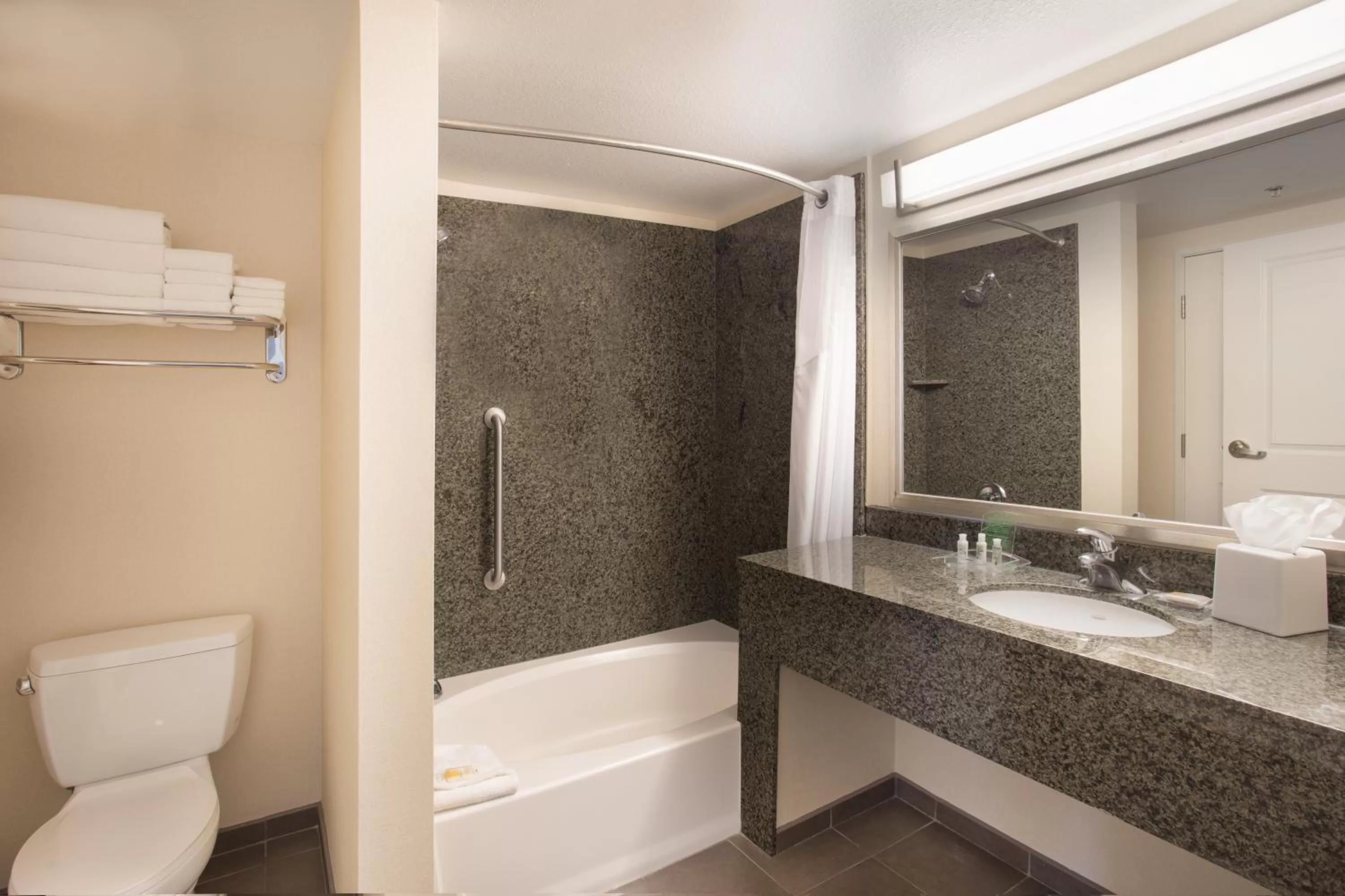 Bathroom in Holiday Inn Scottsdale North- Airpark by IHG