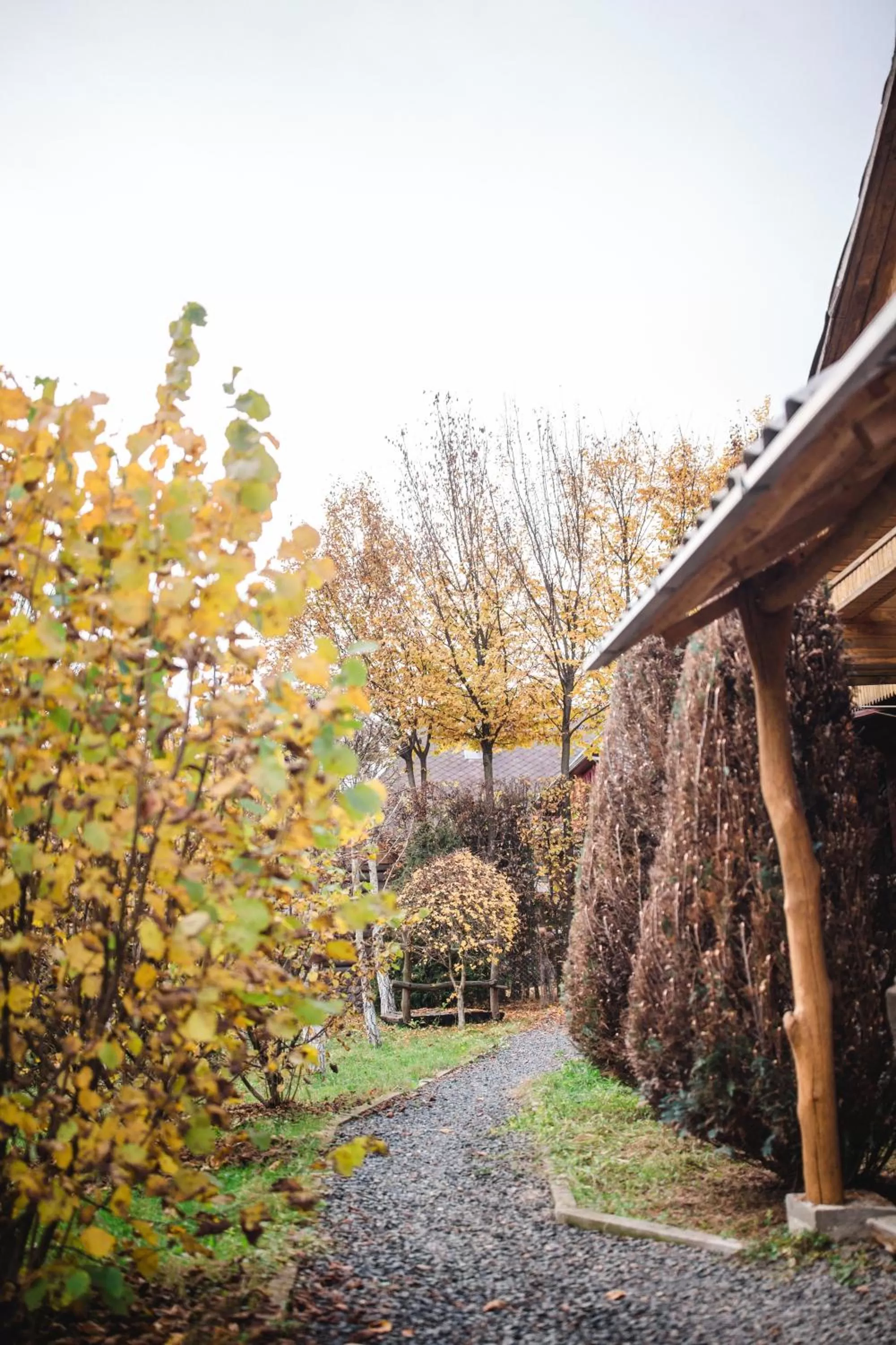 Property Building in Kolyba Opryshkiv