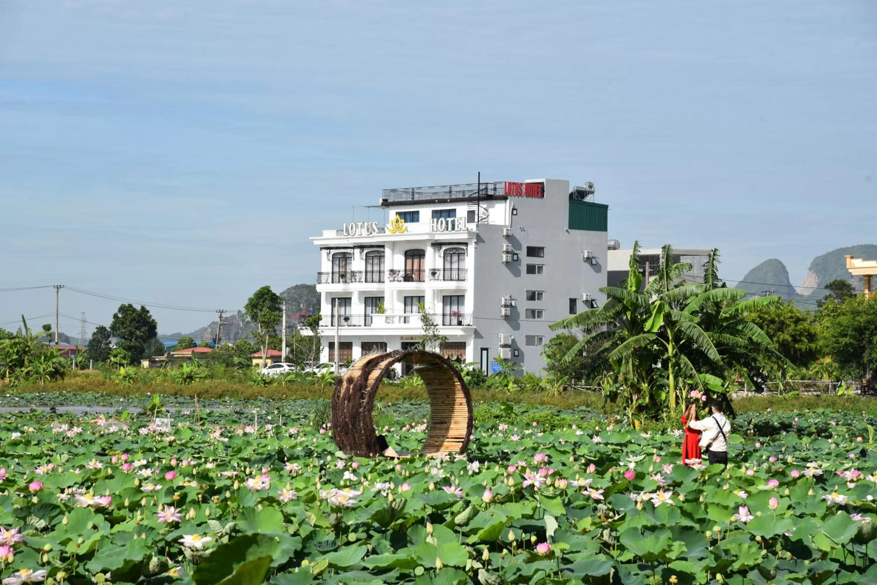 Property building in Lotus Hotel Ninh Bình
