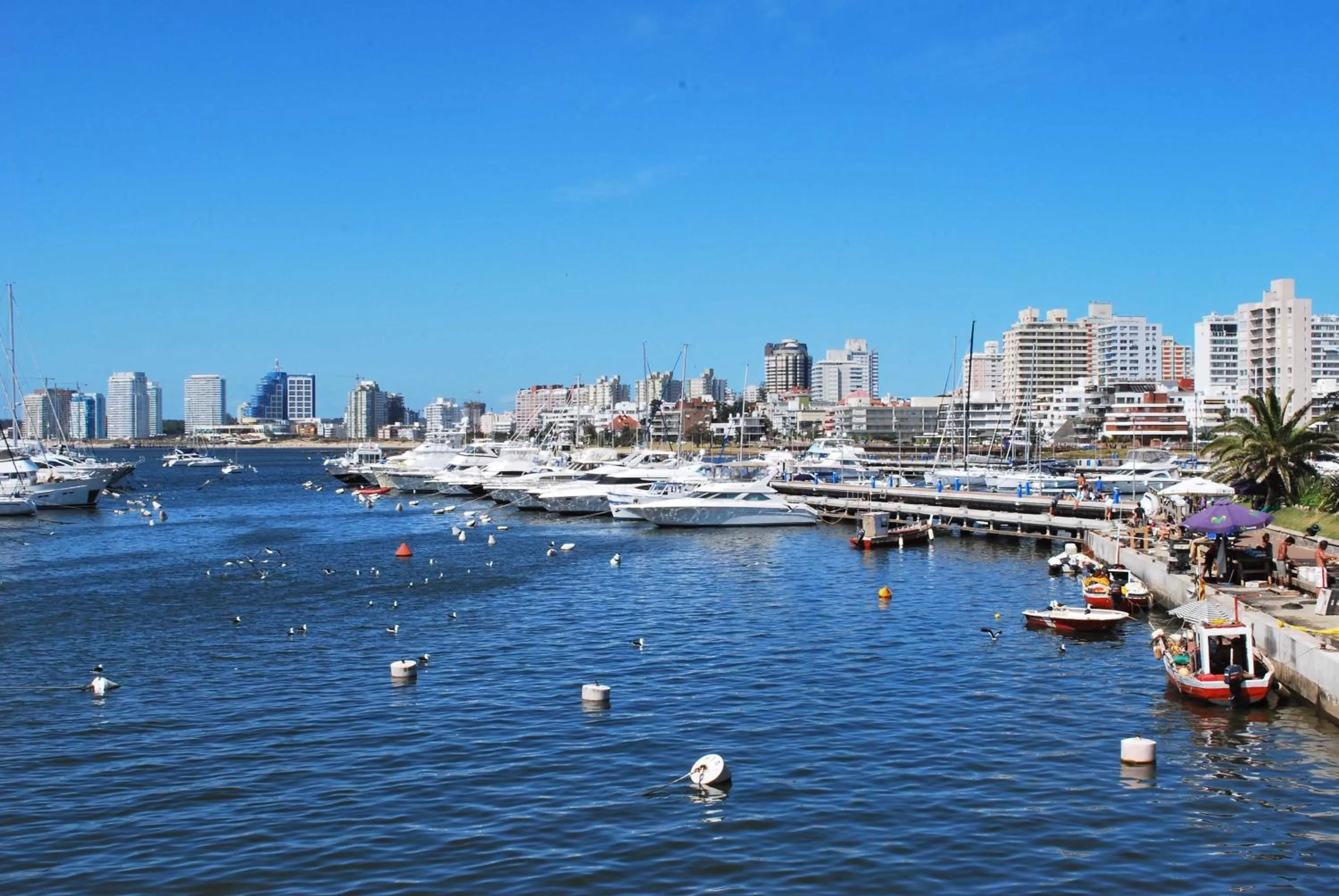 Area and facilities in Hotel De La Barra